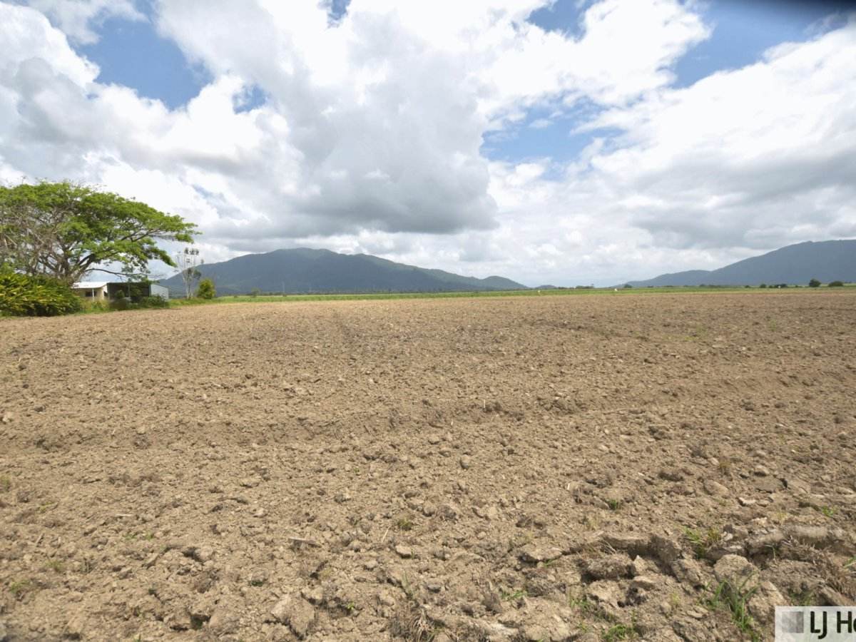 Lot 164 & Lot 165 East Feluga Road, East Feluga For Sale by Farmbuy.com - image 12