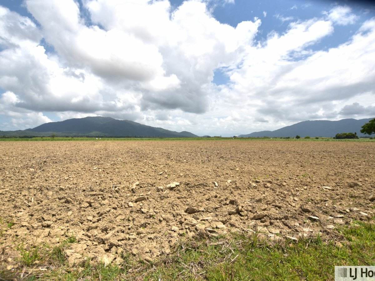Lot 164 & Lot 165 East Feluga Road, East Feluga For Sale by Farmbuy.com - image 10