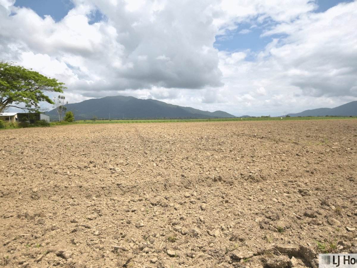 Lot 164 & Lot 165 East Feluga Road, East Feluga For Sale by Farmbuy.com - image 2