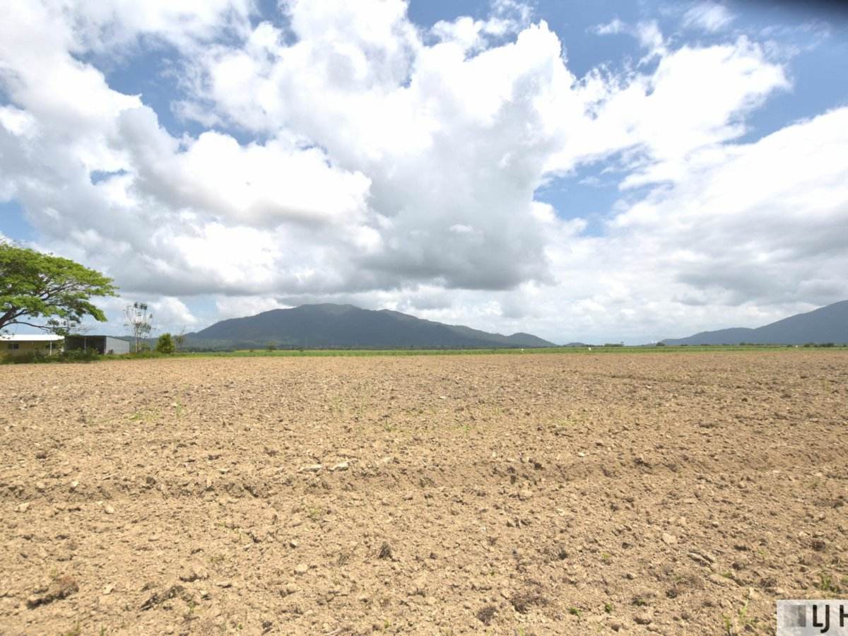 Lot 164 & Lot 165 East Feluga Road, East Feluga For Sale by Farmbuy.com - image 1