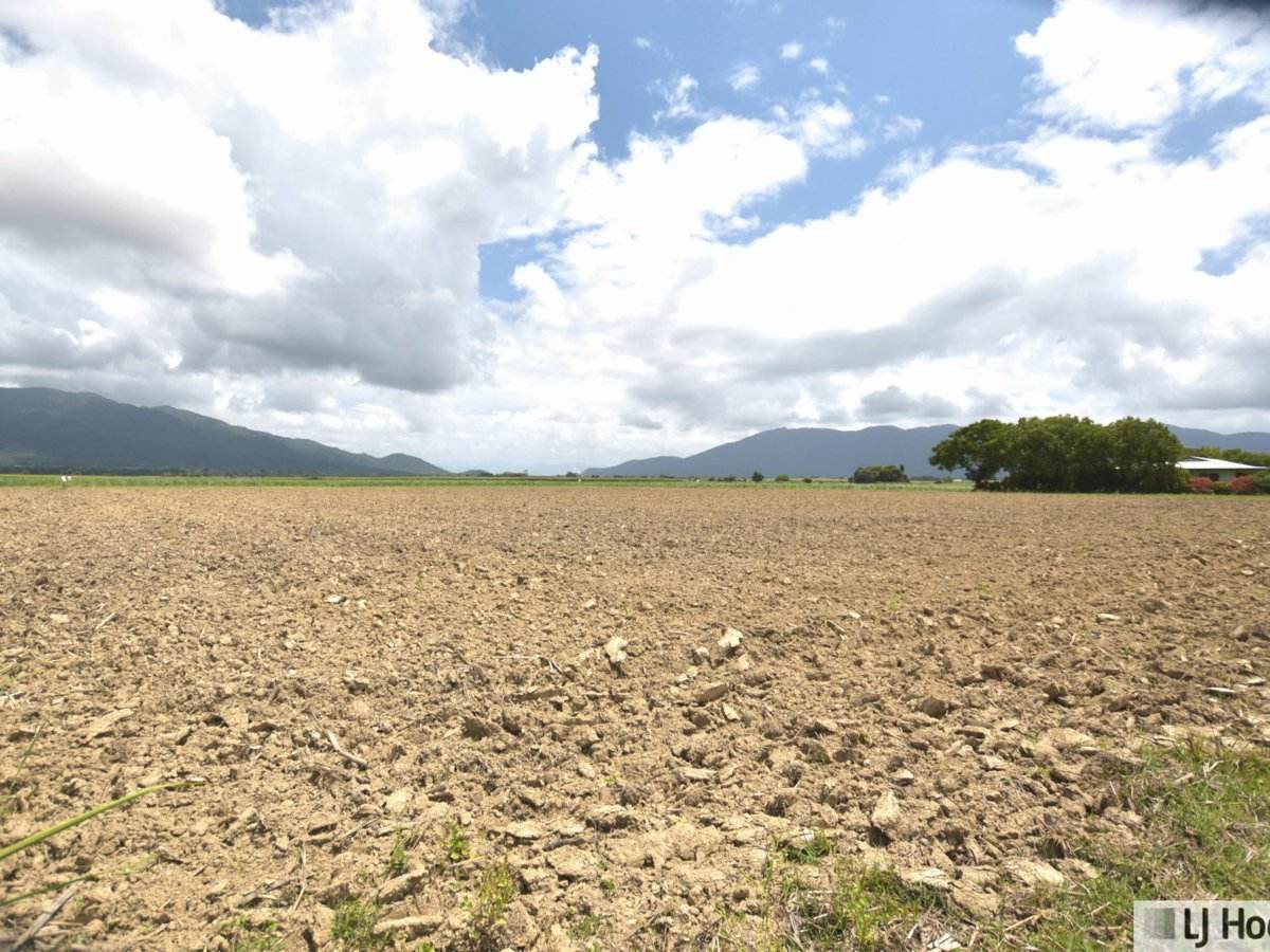 Lot 164 & Lot 165 East Feluga Road, East Feluga For Sale by Farmbuy.com - image 8