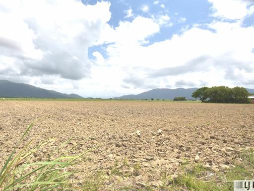 Farm For Sale - QLD - East Feluga - 4854 - Space to Build, Room to Live – Your Rural Lifestyle Awaits! 