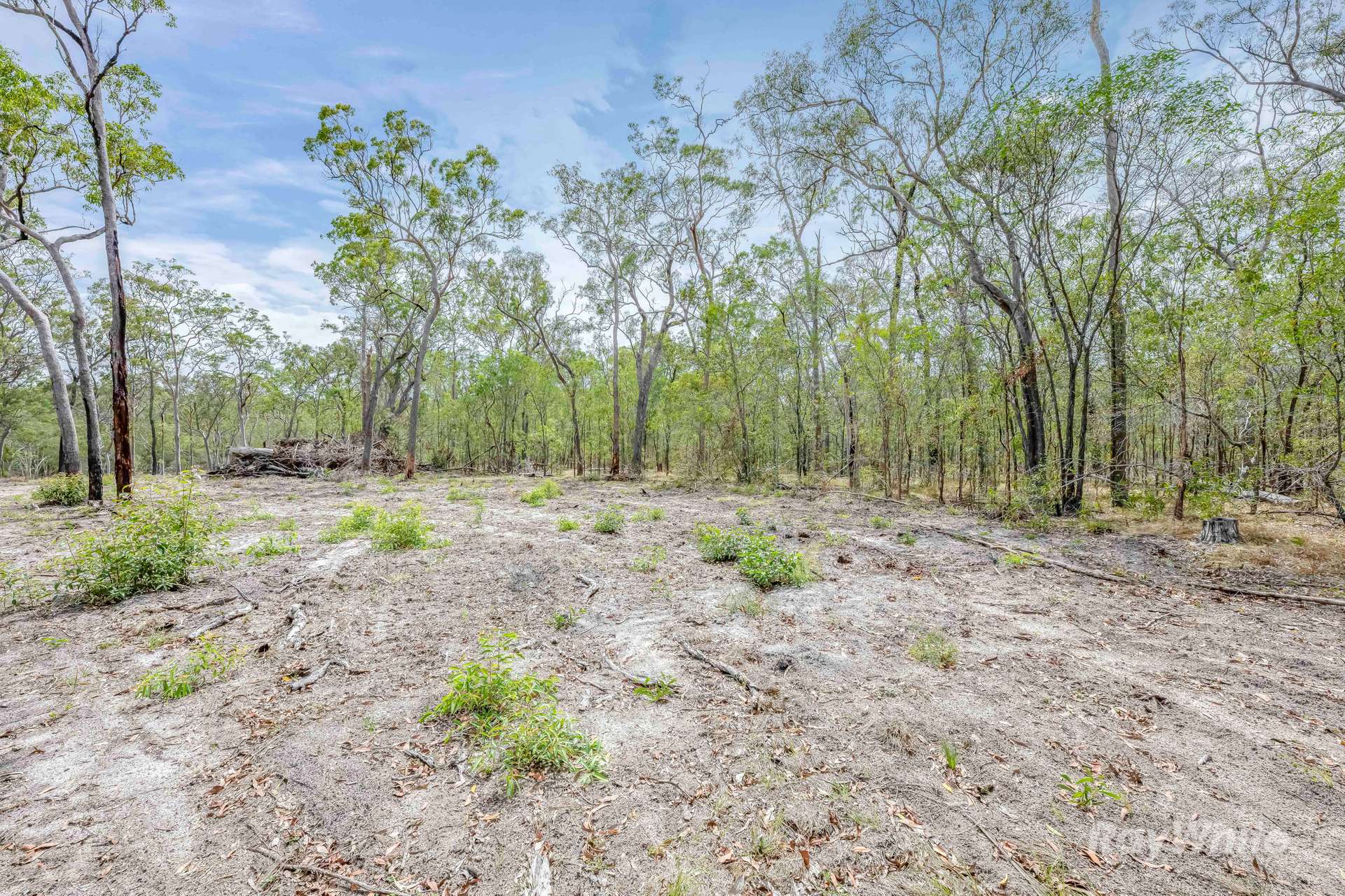 Lot 41,  Moolyung Road, Waterloo For Sale by Farmbuy.com - image 17