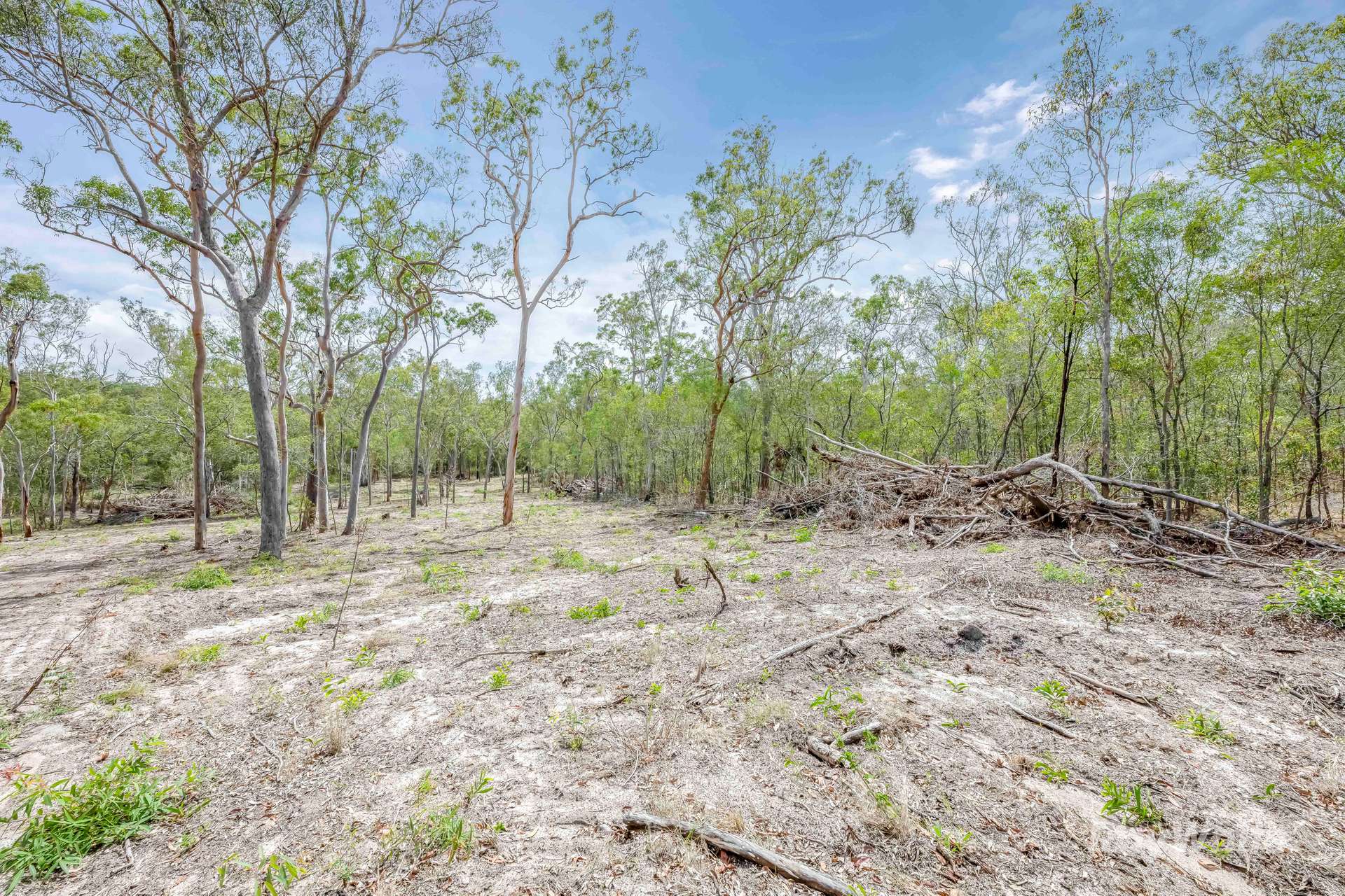 Lot 41,  Moolyung Road, Waterloo For Sale by Farmbuy.com - image 19