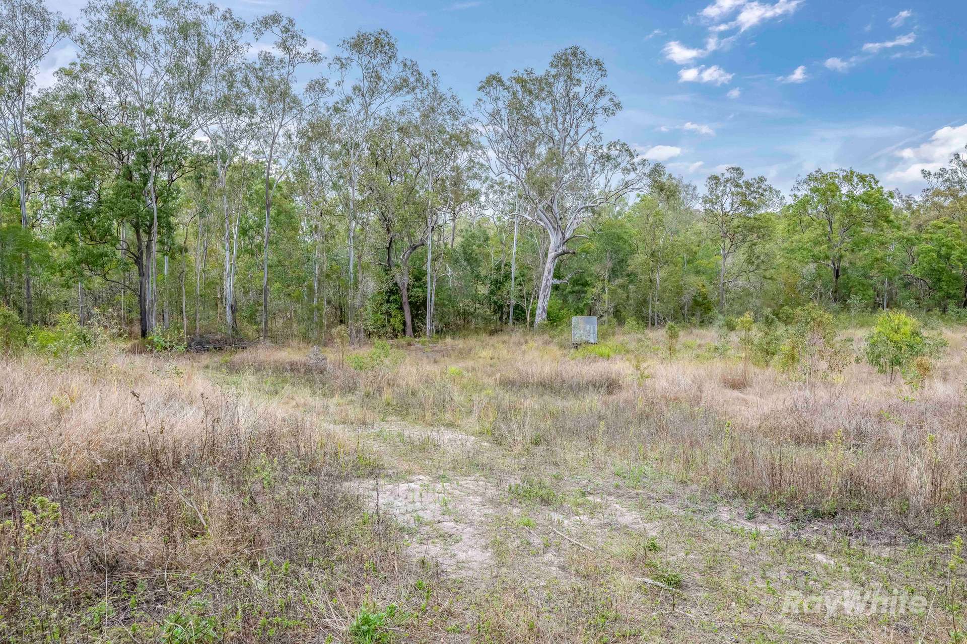 Lot 41,  Moolyung Road, Waterloo For Sale by Farmbuy.com - image 10
