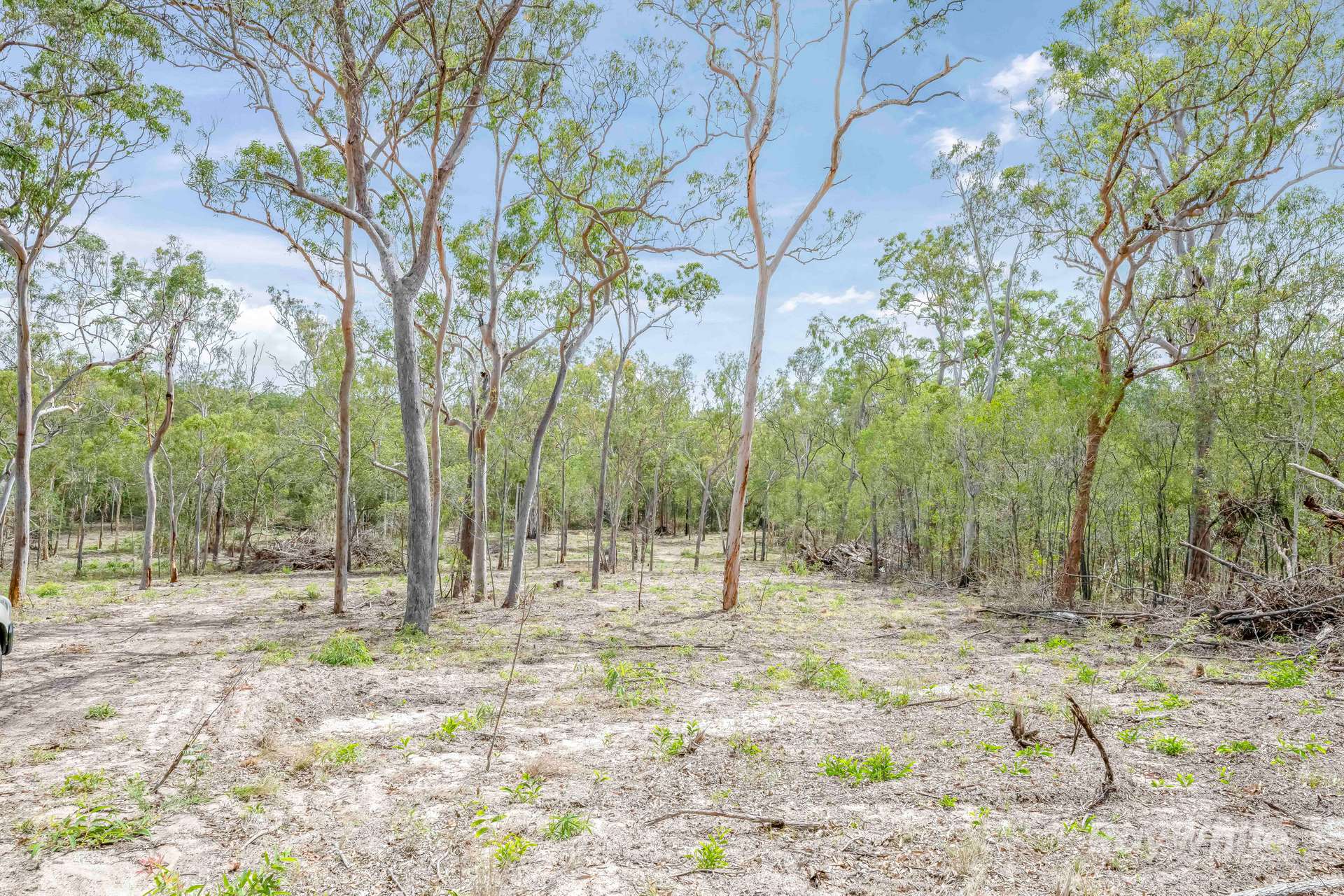 Lot 41,  Moolyung Road, Waterloo For Sale by Farmbuy.com - image 20