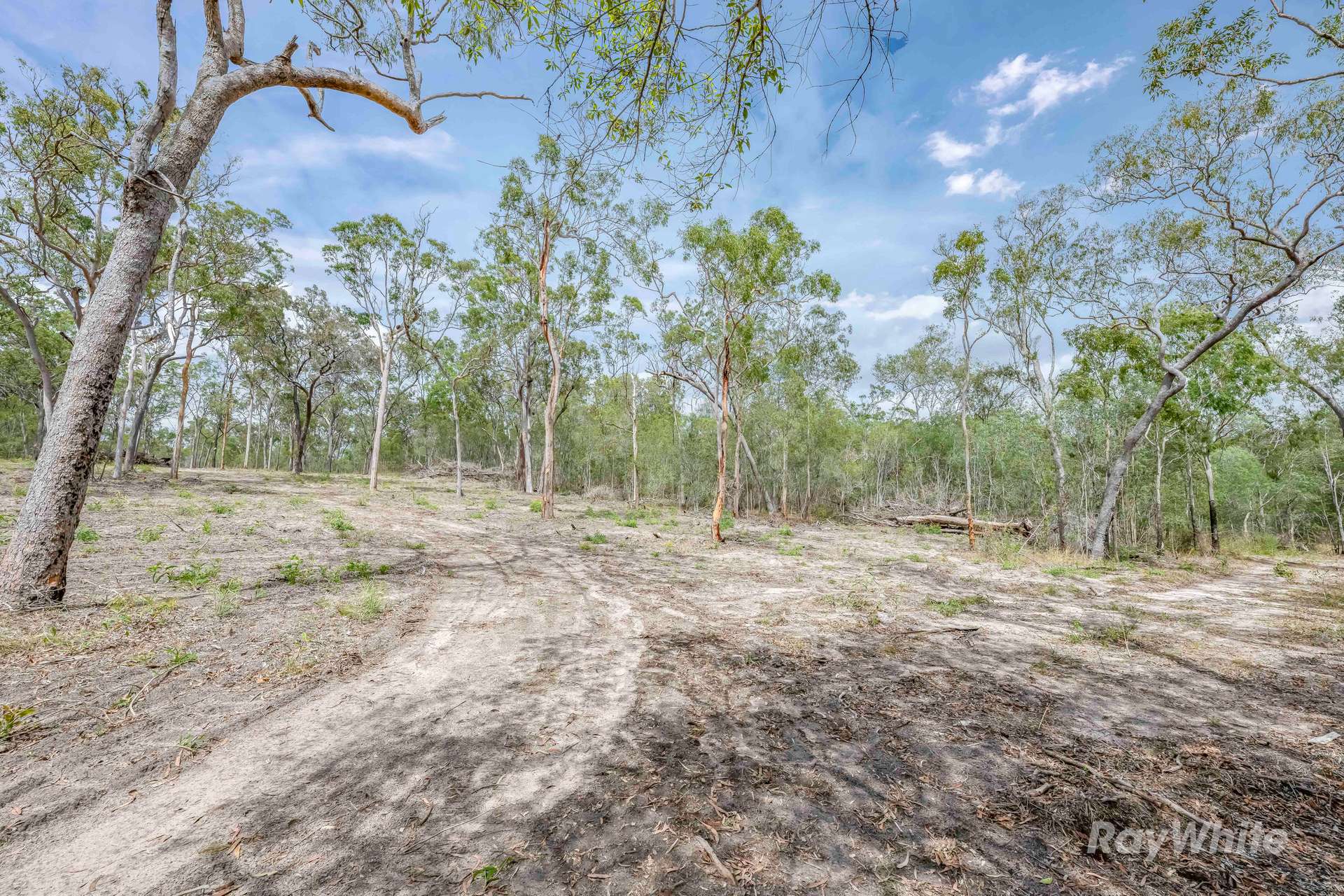 Lot 41,  Moolyung Road, Waterloo For Sale by Farmbuy.com - image 24