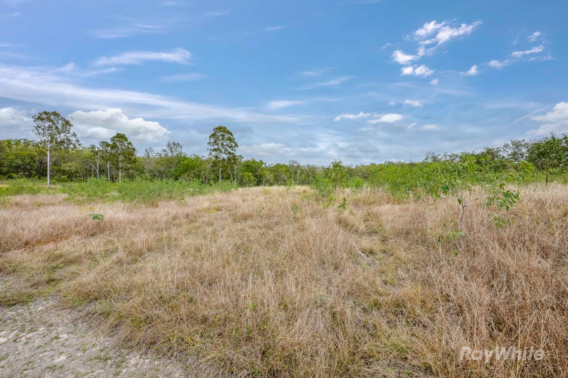 Lot 41,  Moolyung Road, Waterloo For Sale by Farmbuy.com - image 9