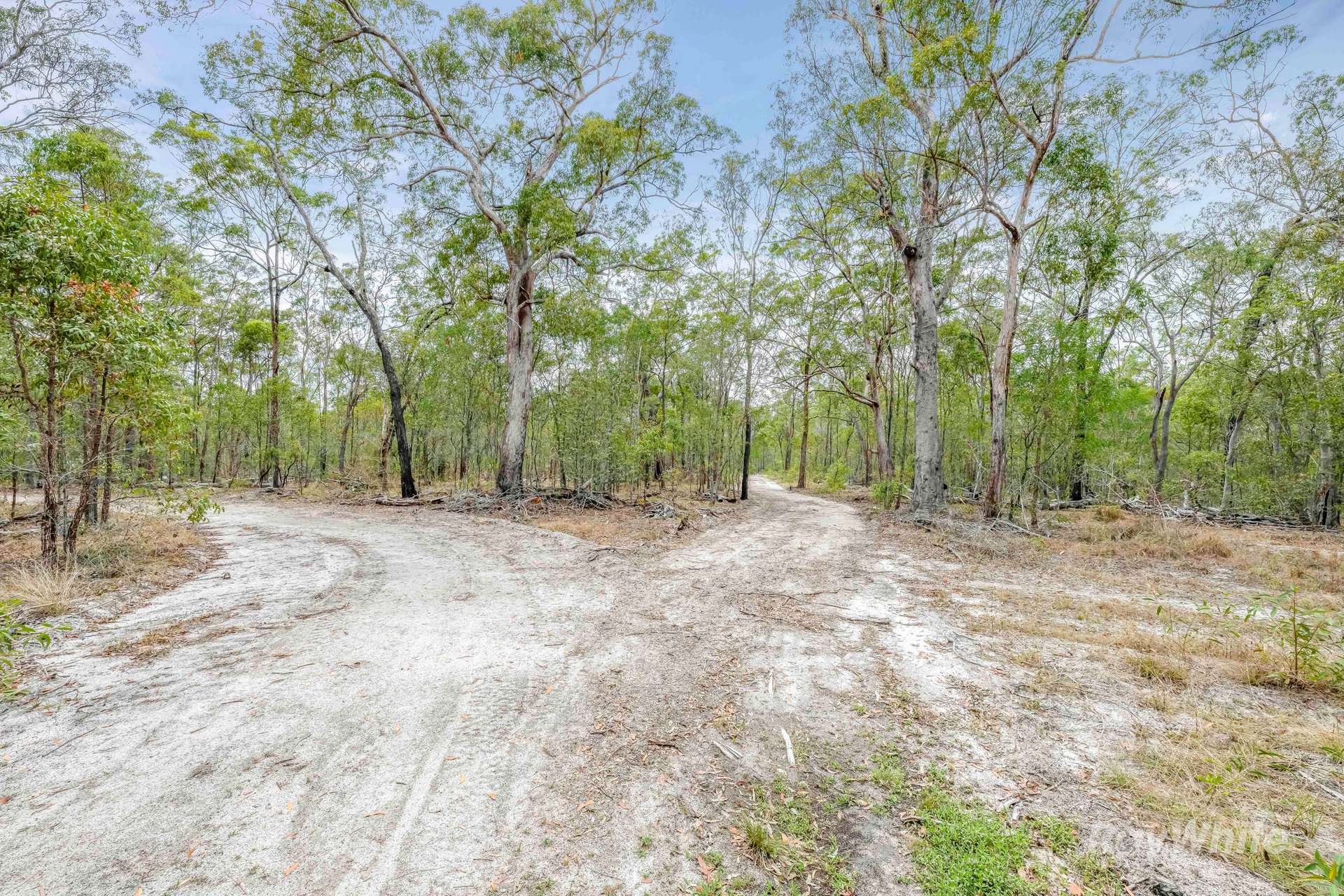 Lot 41,  Moolyung Road, Waterloo For Sale by Farmbuy.com - image 15