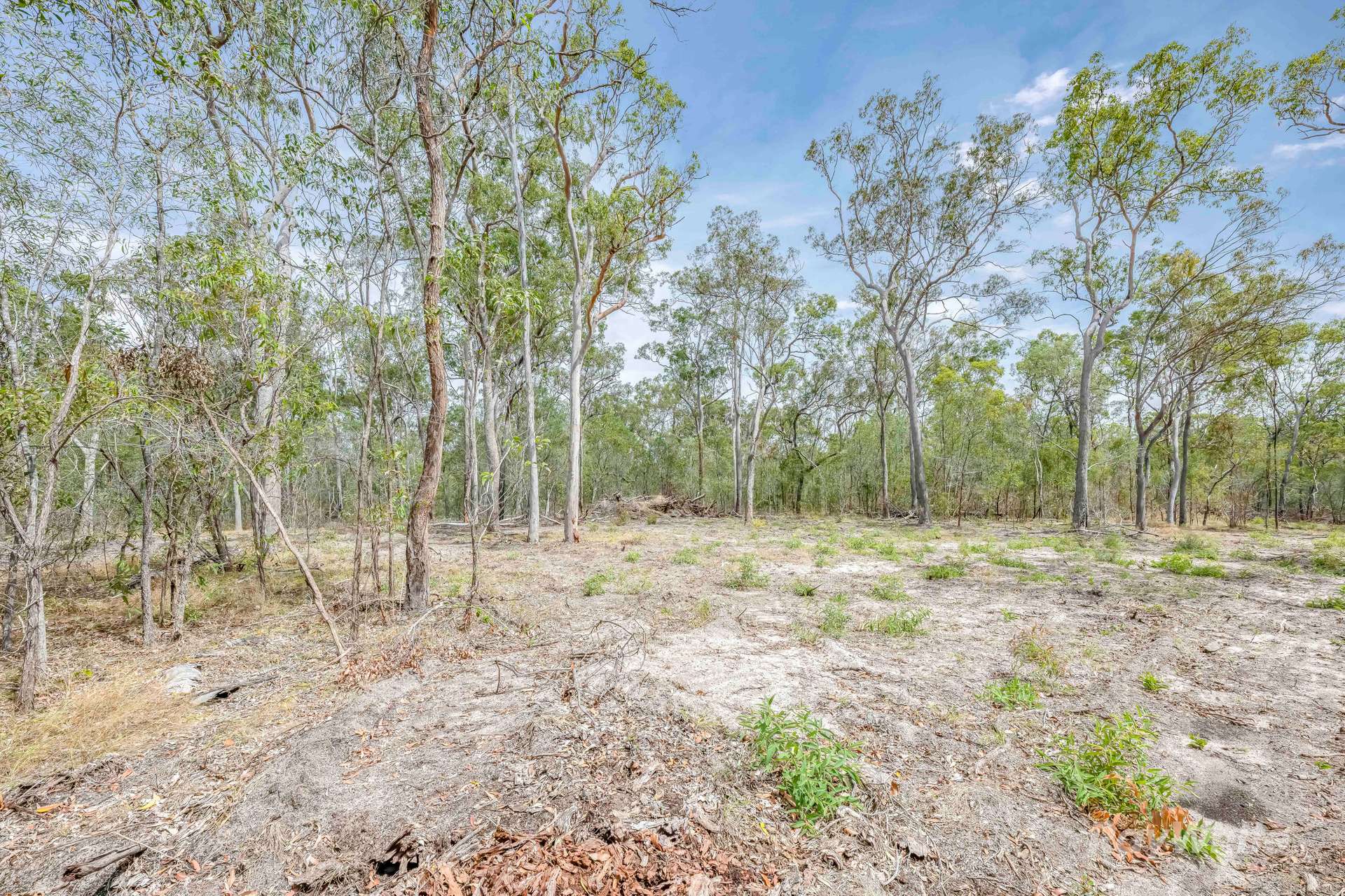 Lot 41,  Moolyung Road, Waterloo For Sale by Farmbuy.com - image 18