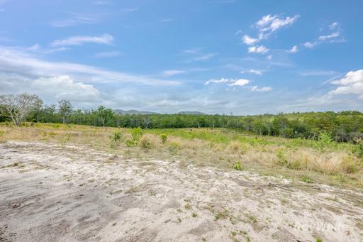 Farm For Sale - QLD - Waterloo - 4673 - "Bring the Horses, Cattle & Bikes - 291 Acres to Explore" 