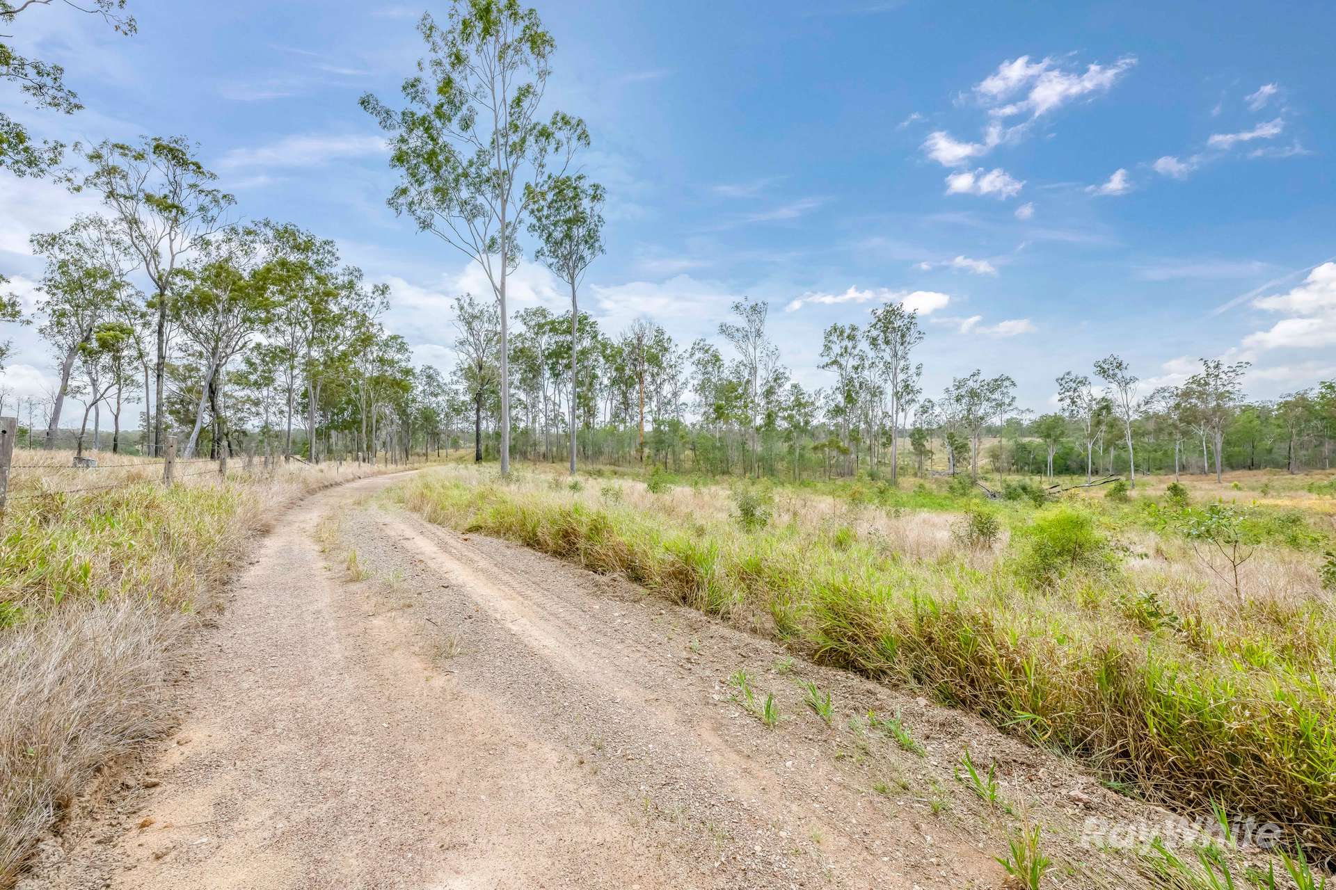 Lot 43,  Moolyung Road, Waterloo For Sale by Farmbuy.com - image 7