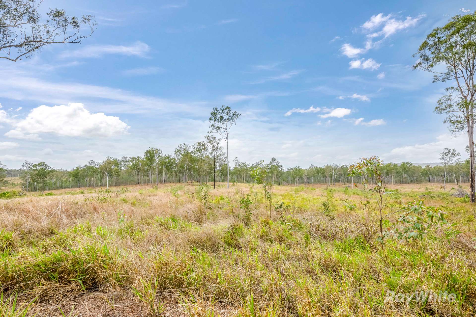 Lot 43,  Moolyung Road, Waterloo For Sale by Farmbuy.com - image 15