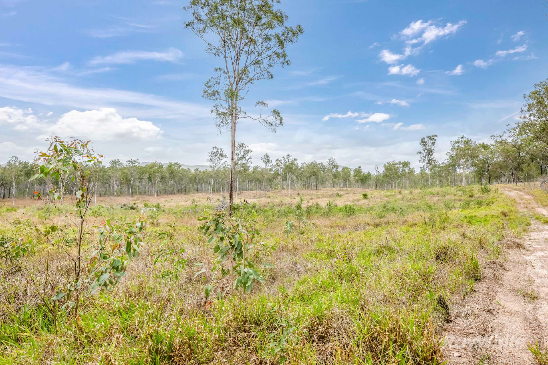 Lot 43,  Moolyung Road, Waterloo For Sale by Farmbuy.com - image 16