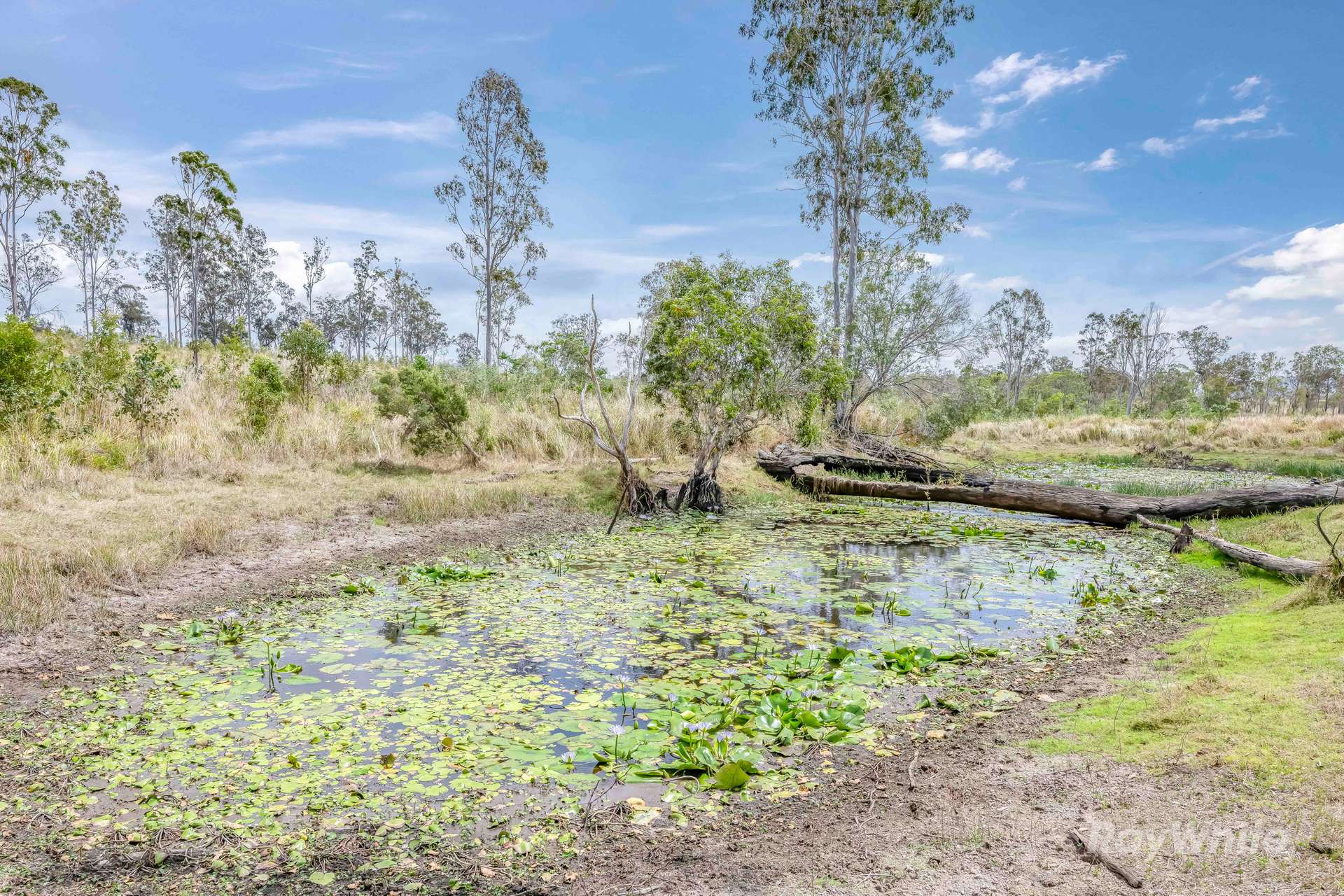 Lot 43,  Moolyung Road, Waterloo For Sale by Farmbuy.com - image 19