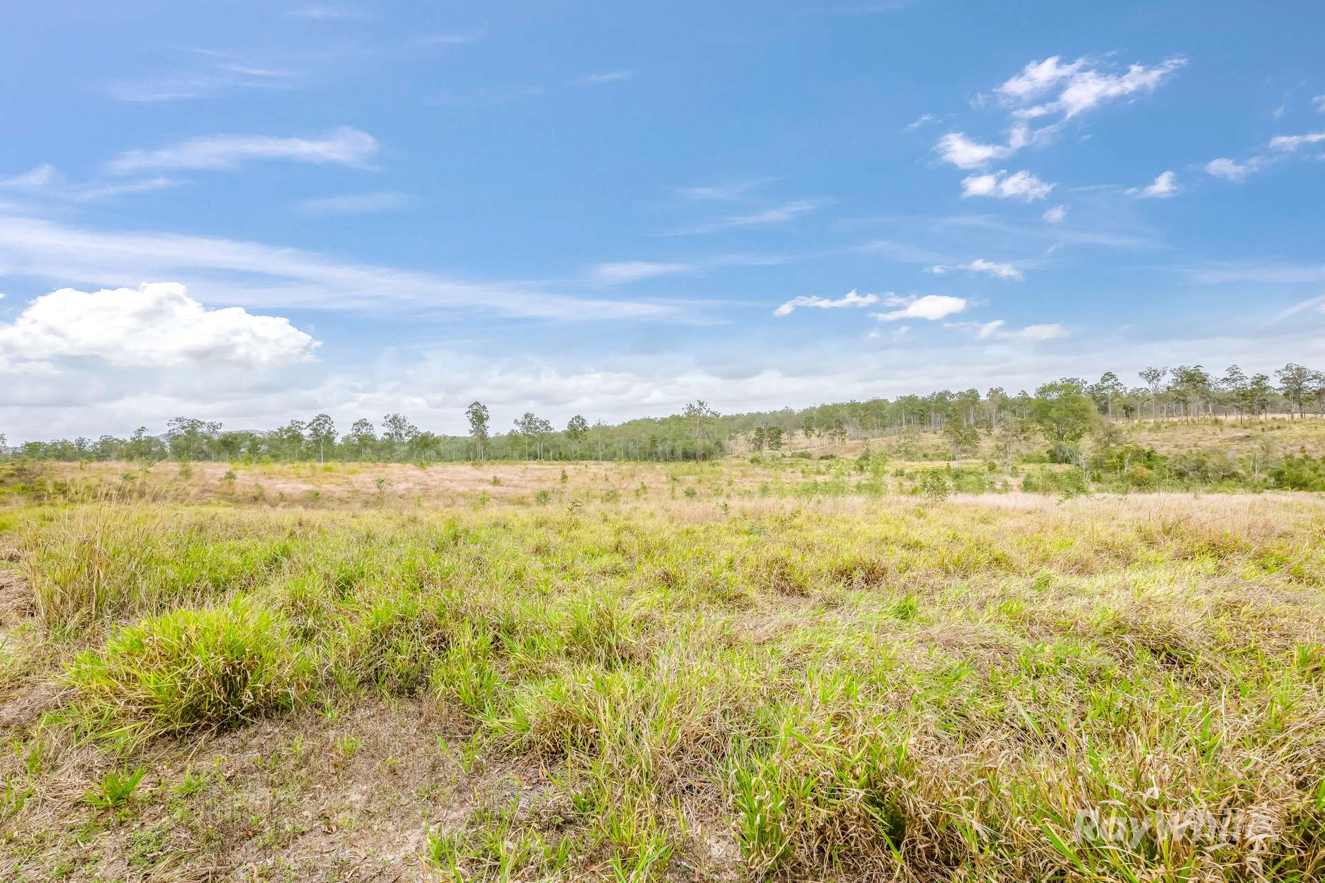Lot 43,  Moolyung Road, Waterloo For Sale by Farmbuy.com - image 10