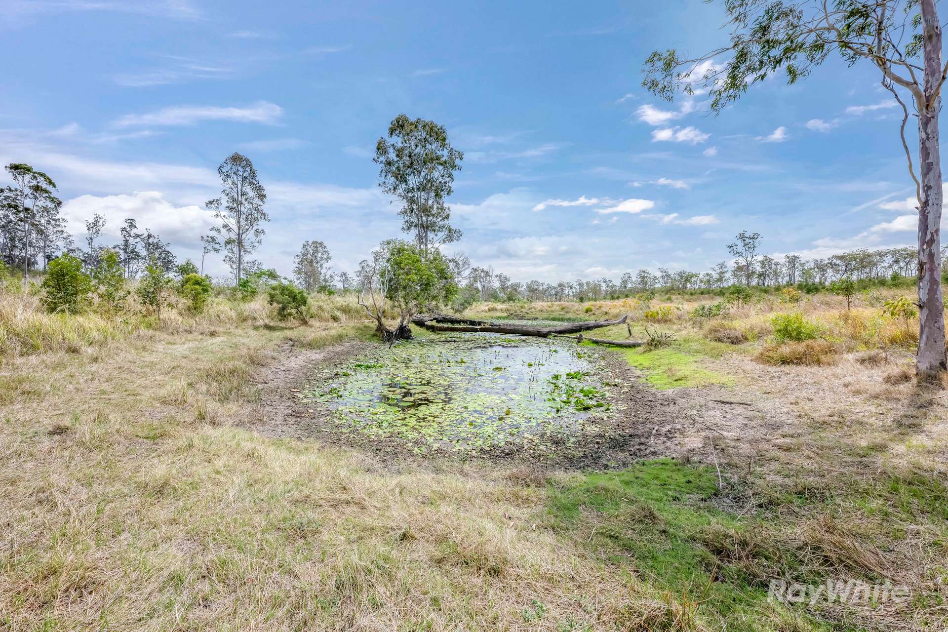 Lot 43,  Moolyung Road, Waterloo For Sale by Farmbuy.com - image 20