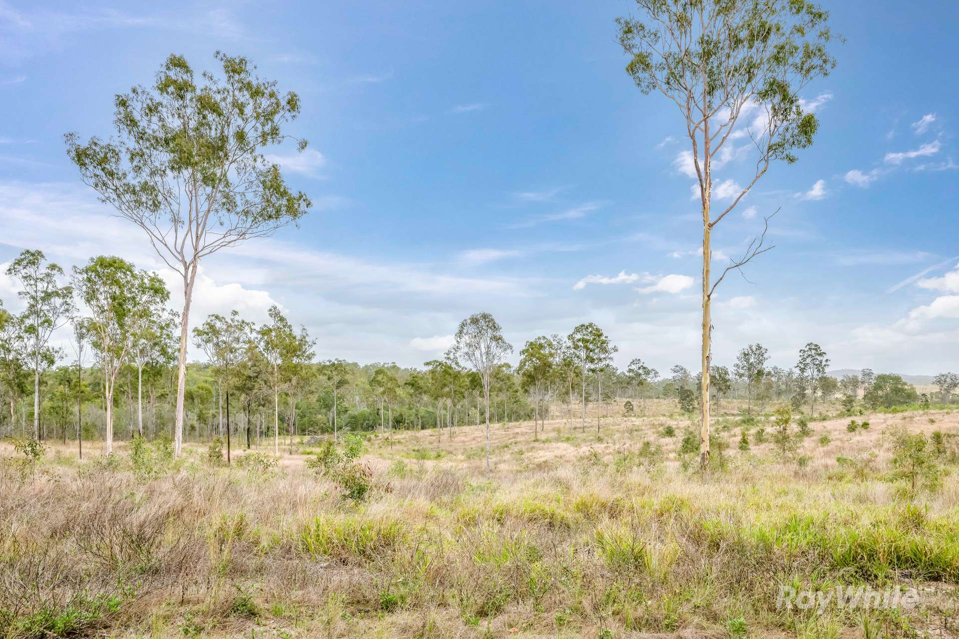 Lot 43,  Moolyung Road, Waterloo For Sale by Farmbuy.com - image 4