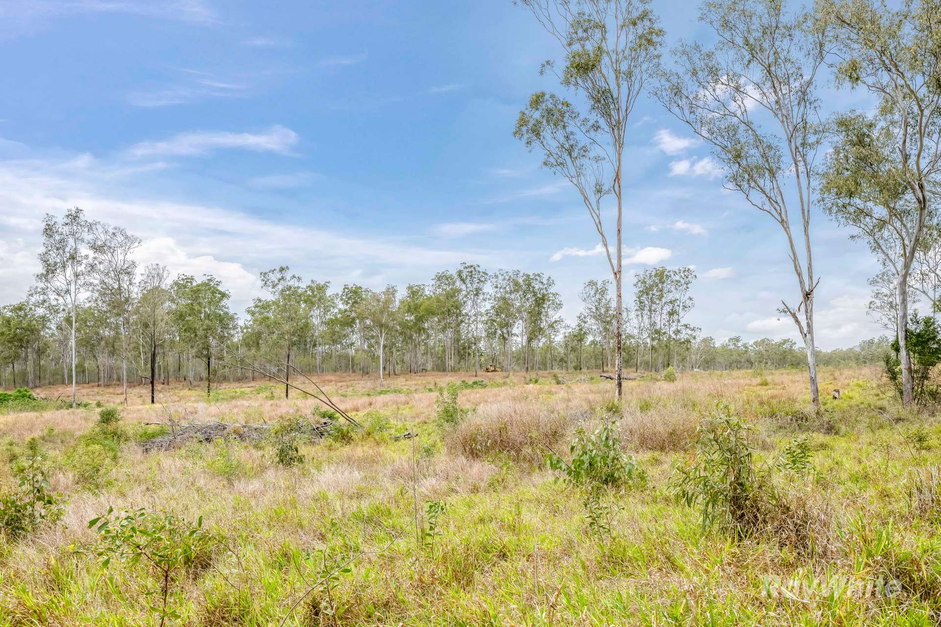 Lot 43,  Moolyung Road, Waterloo For Sale by Farmbuy.com - image 14