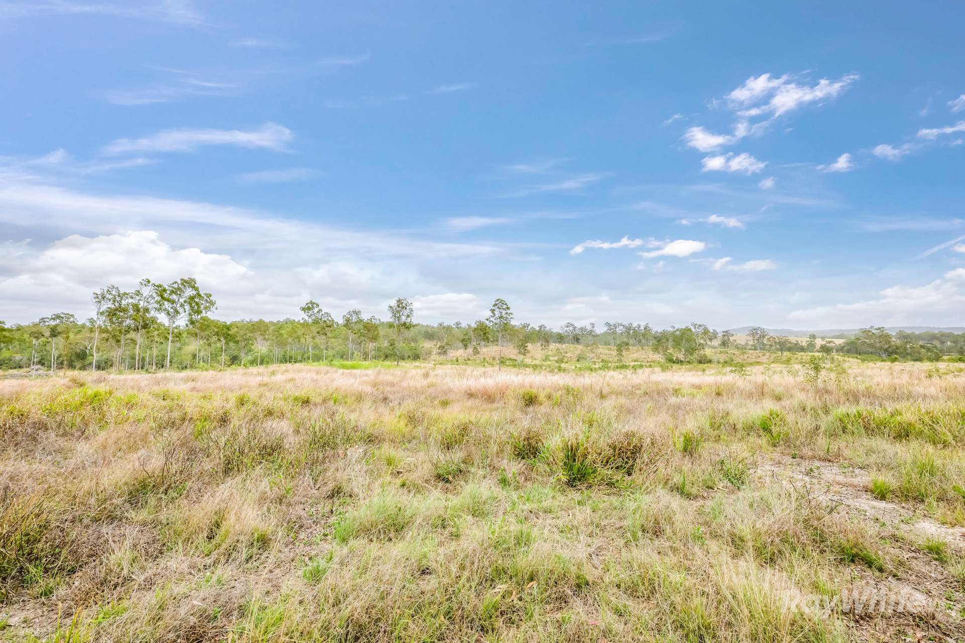 Lot 43,  Moolyung Road, Waterloo For Sale by Farmbuy.com - image 11