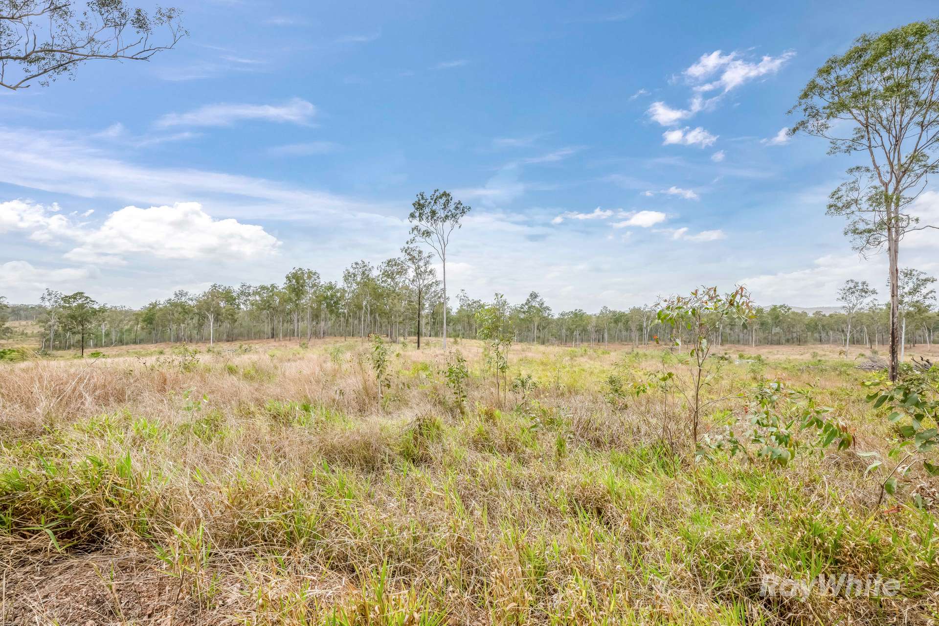 Lot 43,  Moolyung Road, Waterloo For Sale by Farmbuy.com - image 17