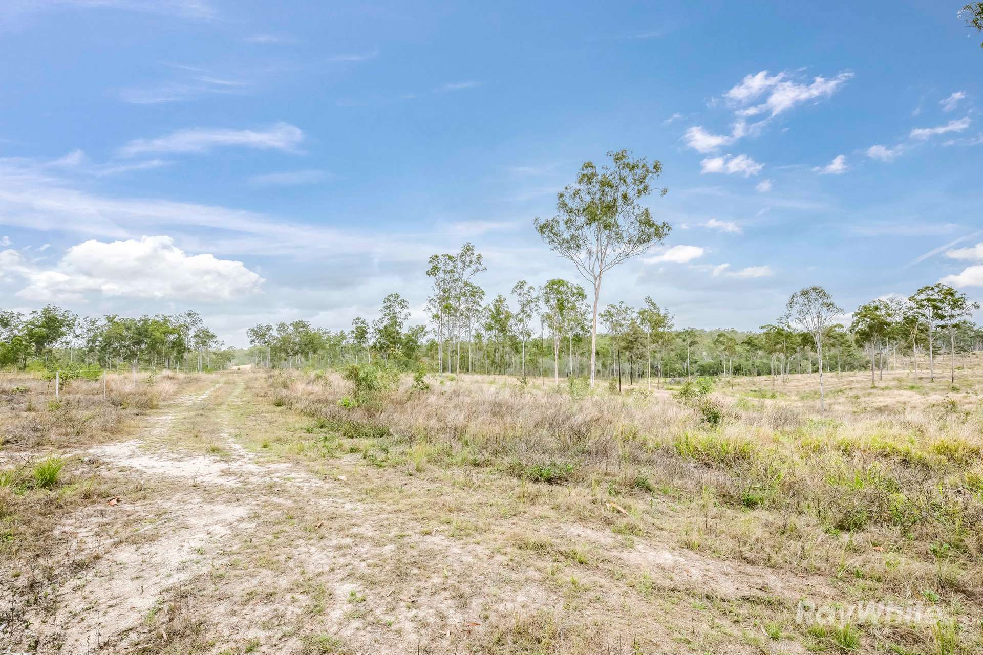 Lot 43,  Moolyung Road, Waterloo For Sale by Farmbuy.com - image 5