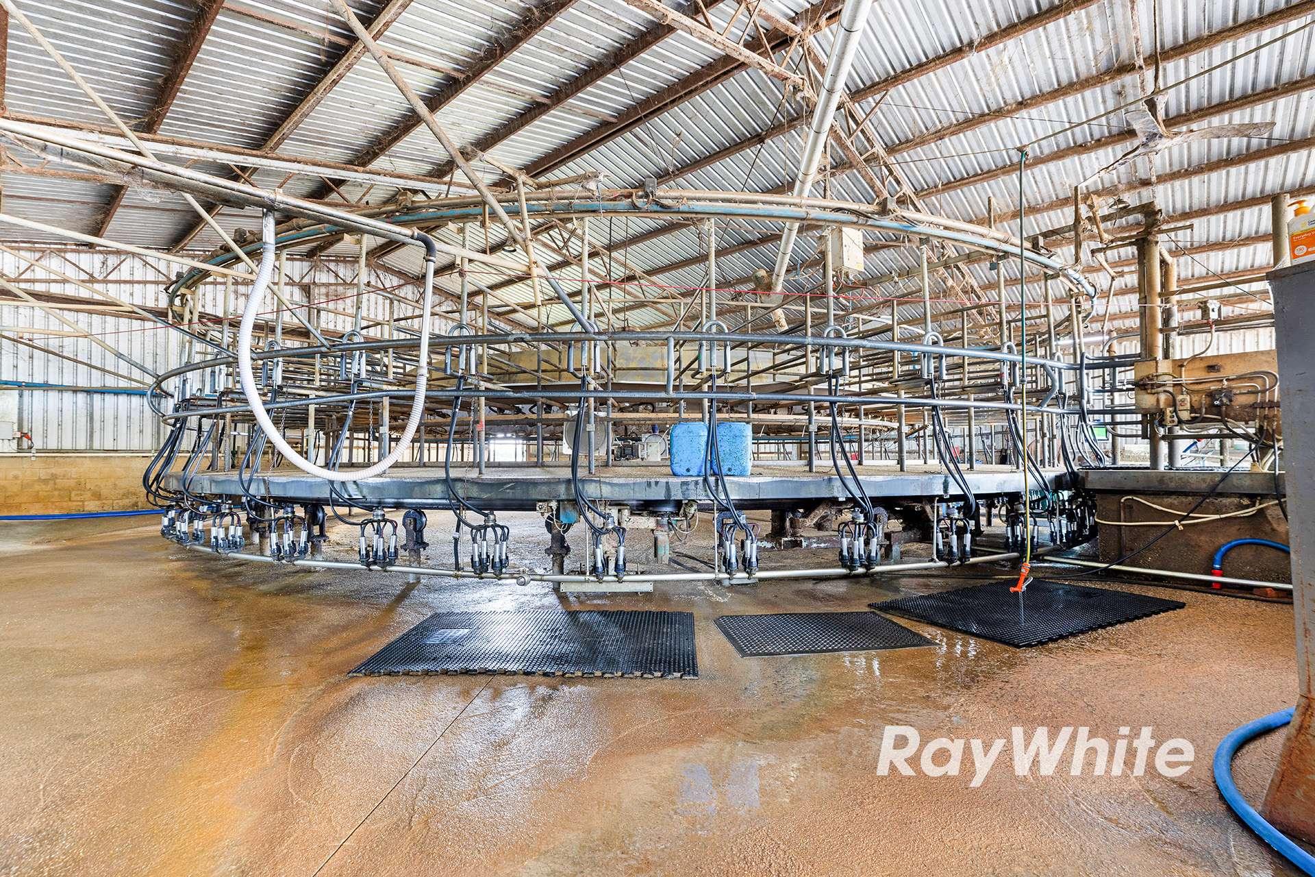 1618 Middleton Road, Lockington For Sale by Farmbuy.com - image 11