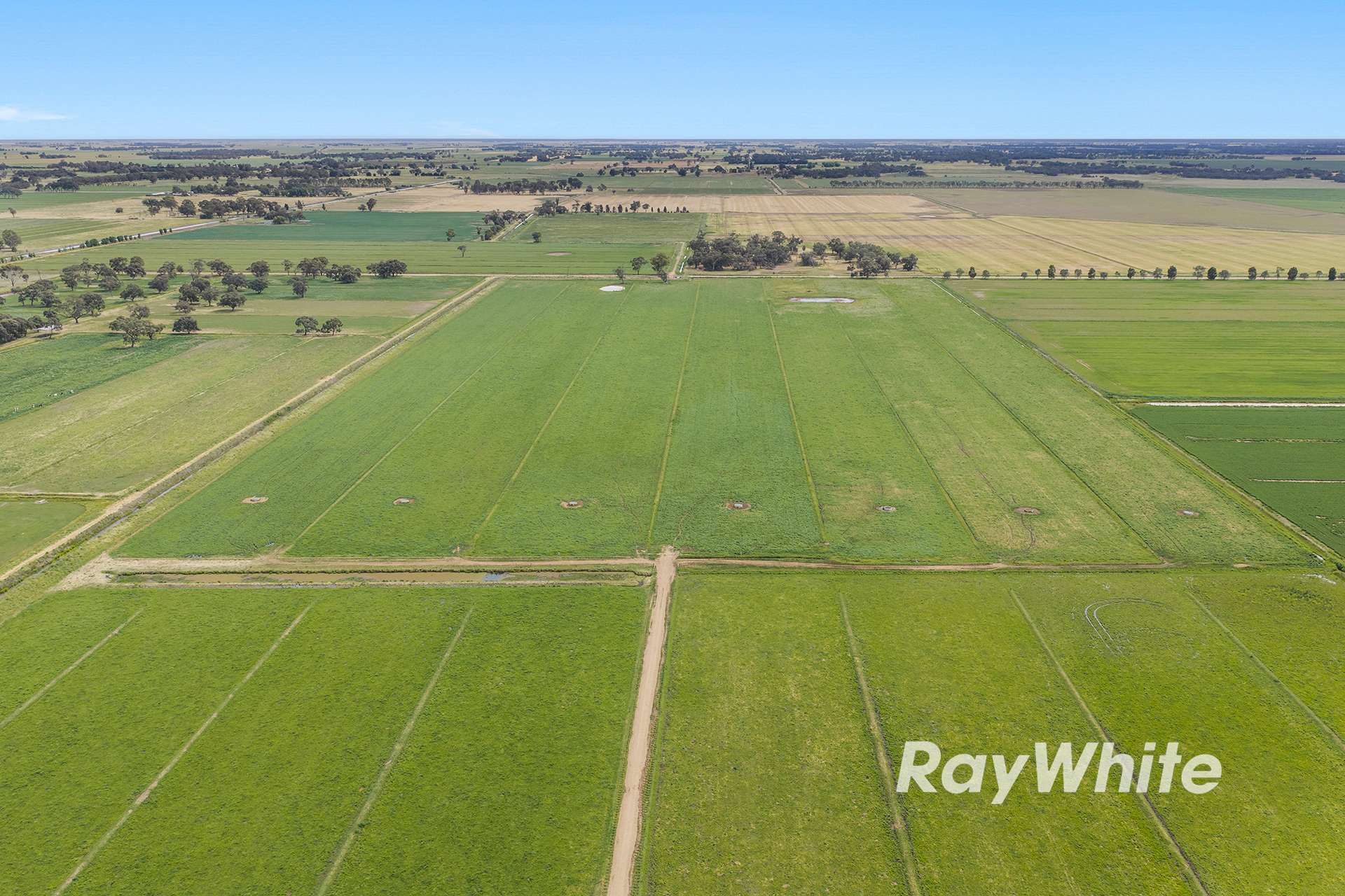 1618 Middleton Road, Lockington For Sale by Farmbuy.com - image 9