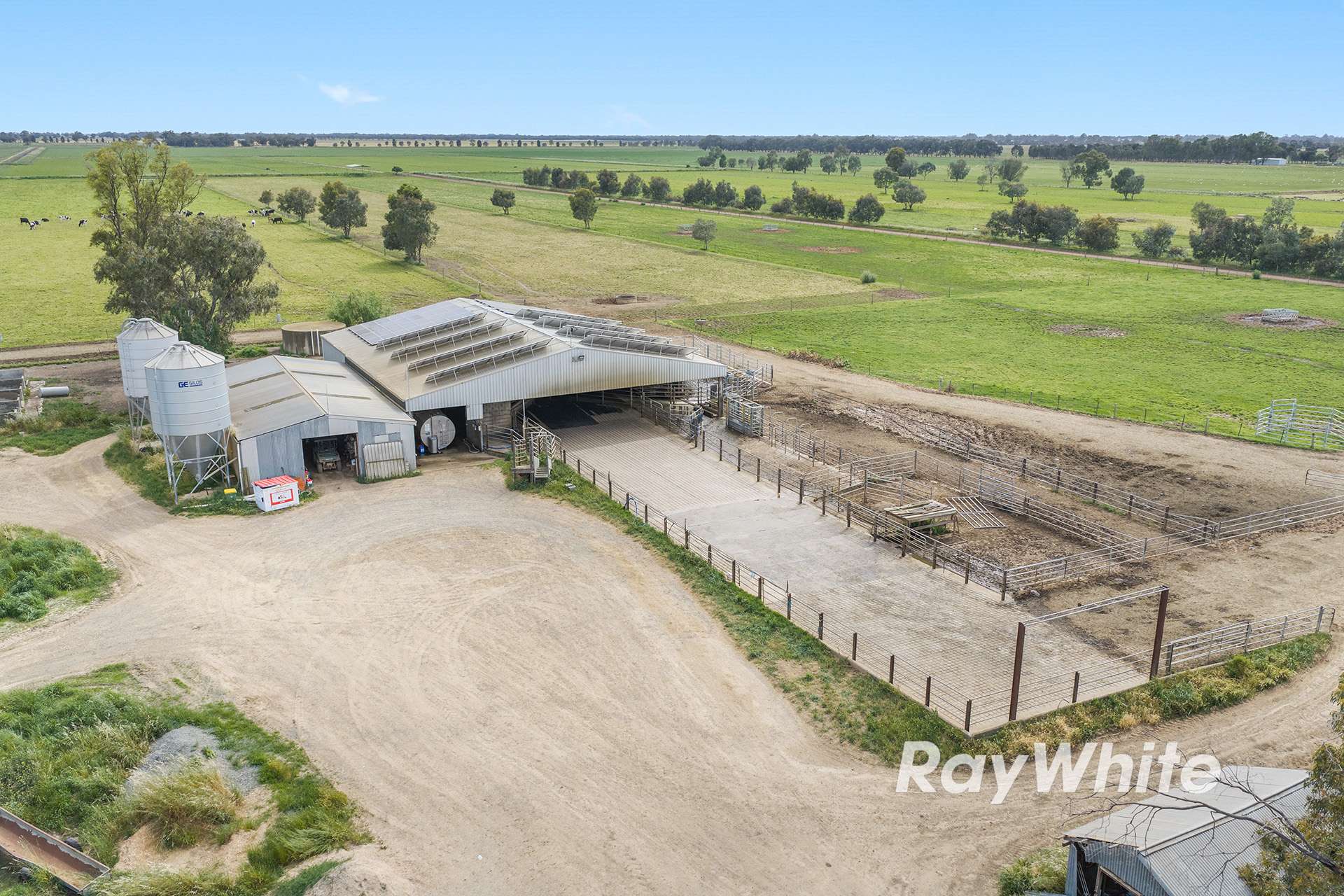 1618 Middleton Road, Lockington For Sale by Farmbuy.com - image 4