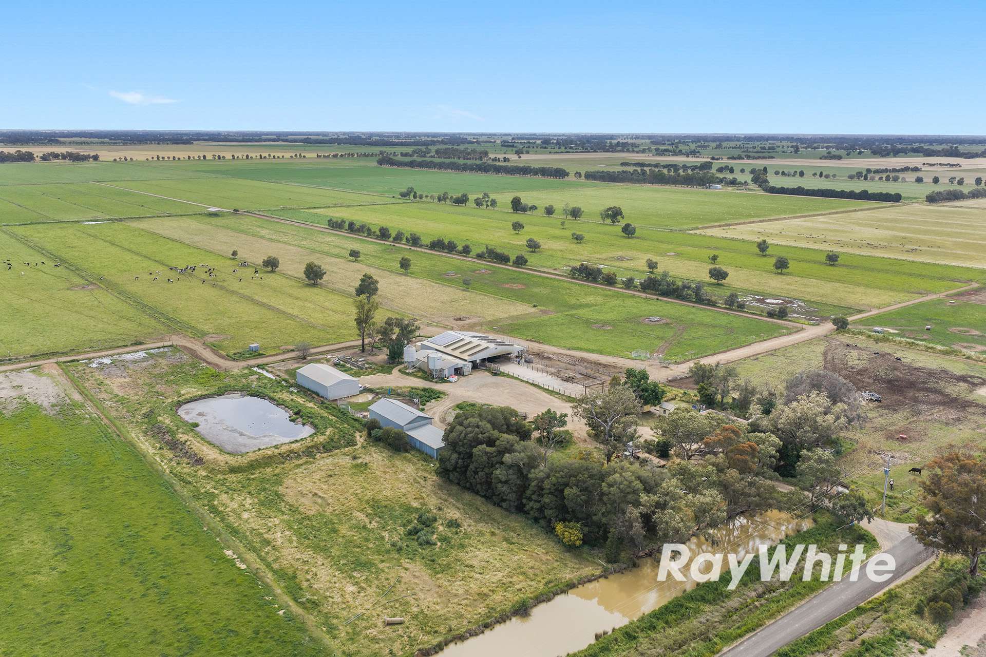 1618 Middleton Road, Lockington For Sale by Farmbuy.com - image 3