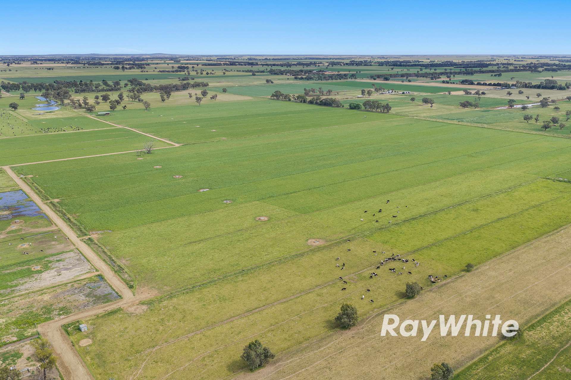 1618 Middleton Road, Lockington For Sale by Farmbuy.com - image 8