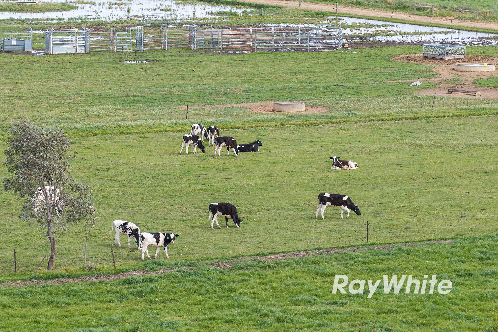 1618 Middleton Road, Lockington For Sale by Farmbuy.com - image 10