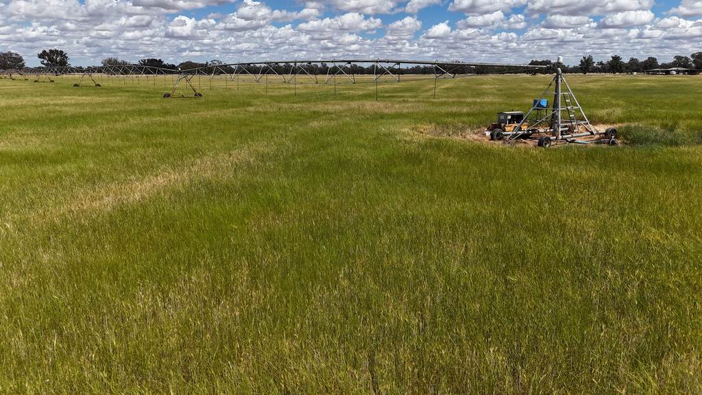 10 Noakes Road, Forbes NSW 2871
