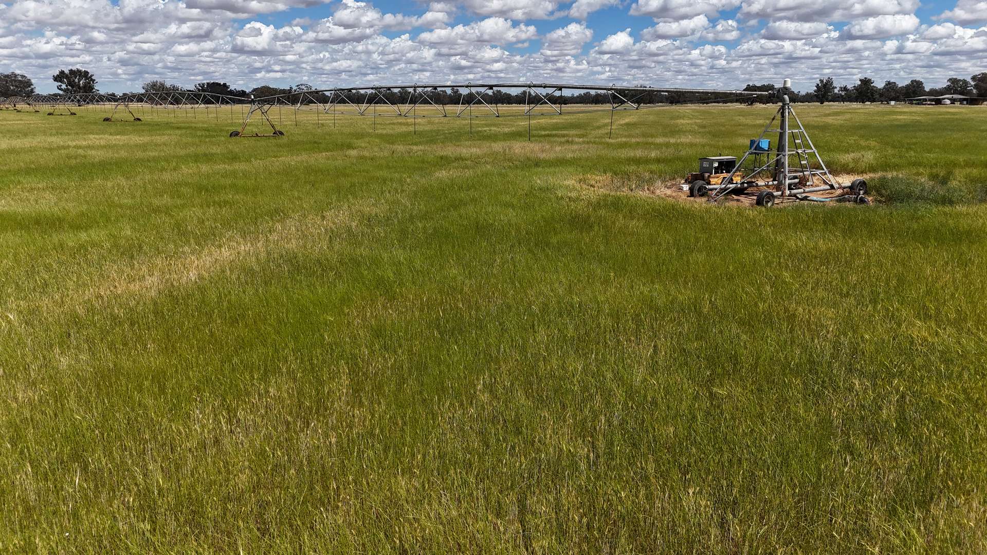 10 Noakes Road, Forbes For Sale by Farmbuy.com - image 1