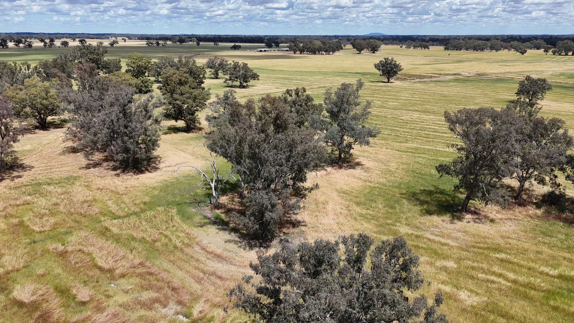 10 Noakes Road, Forbes For Sale by Farmbuy.com - image 26