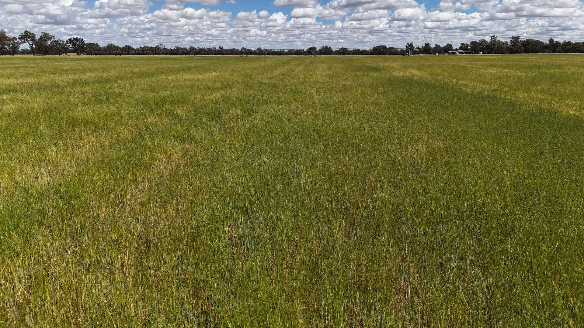 10 Noakes Road, Forbes For Sale by Farmbuy.com - image 27