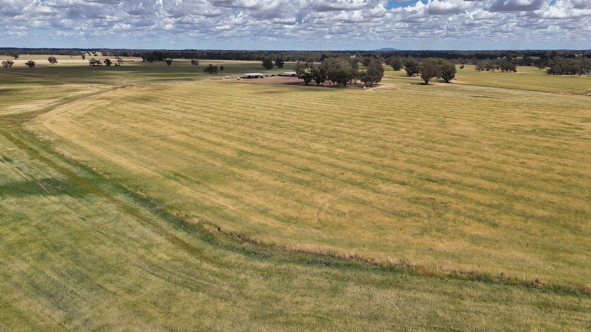 10 Noakes Road, Forbes For Sale by Farmbuy.com - image 22