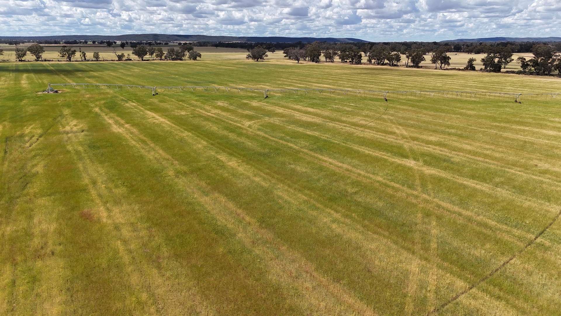 10 Noakes Road, Forbes For Sale by Farmbuy.com - image 17