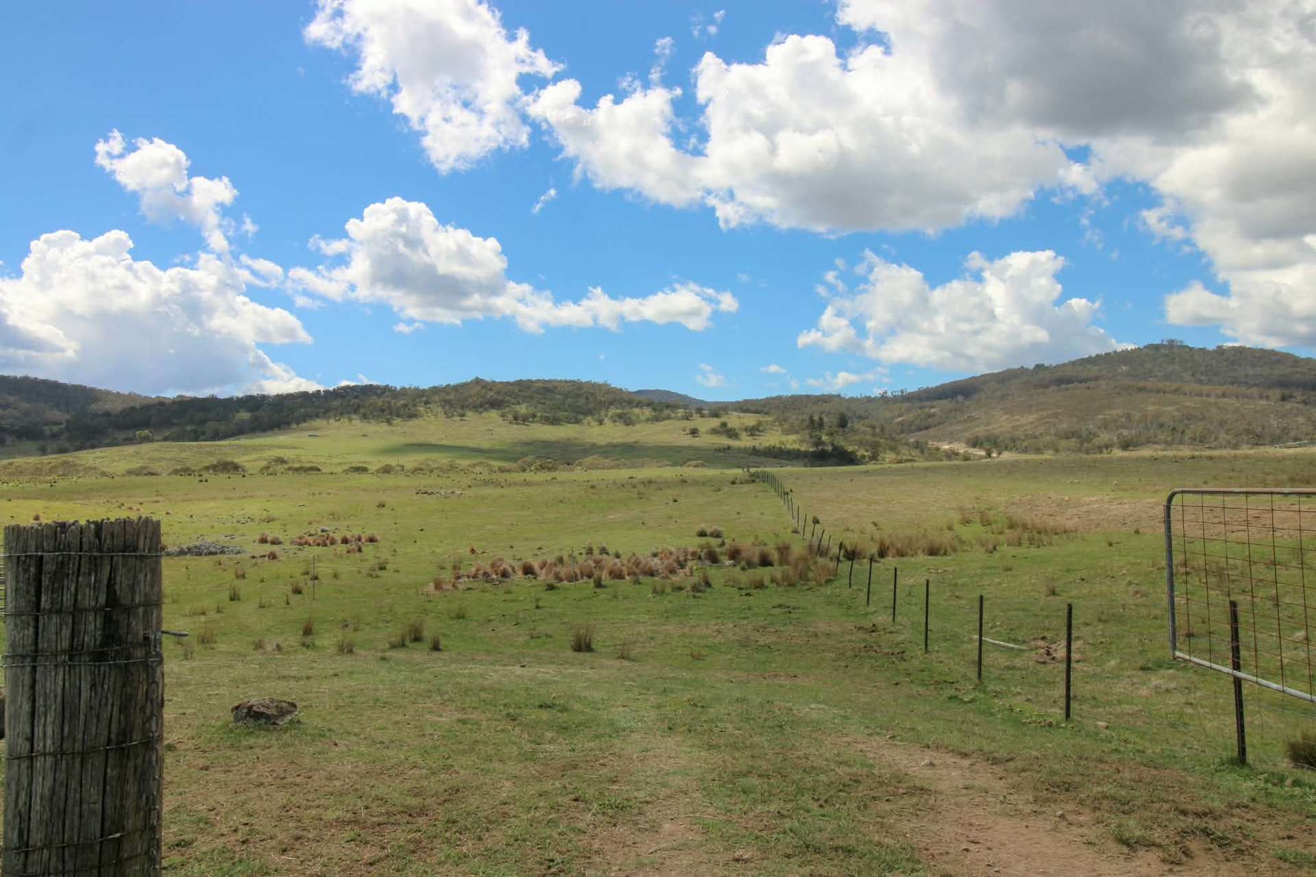 1157 Jerrabattgulla Road, Jerrabattgulla For Sale by Farmbuy.com - image 16