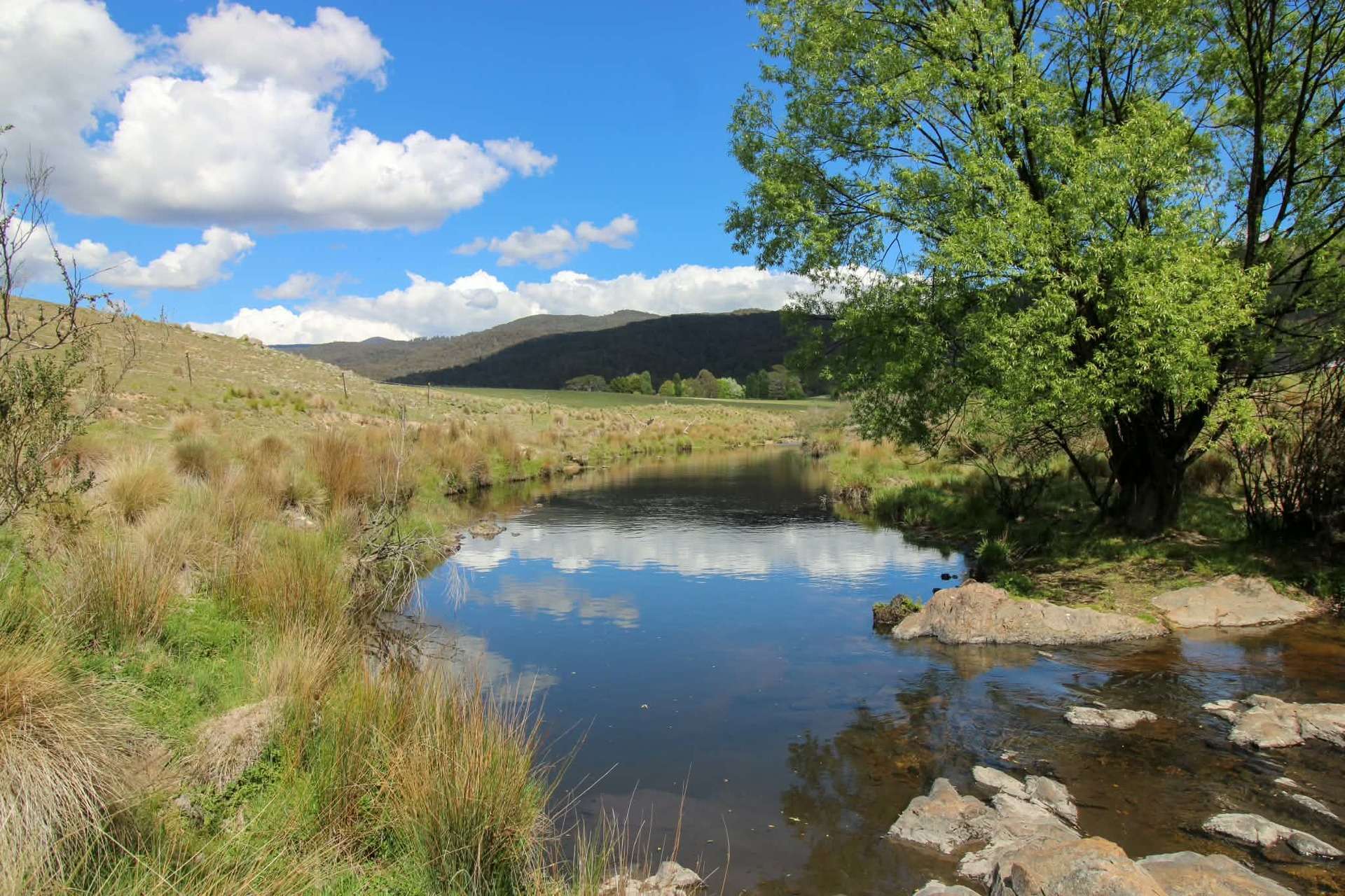 1157 Jerrabattgulla Road, Jerrabattgulla For Sale by Farmbuy.com - image 14
