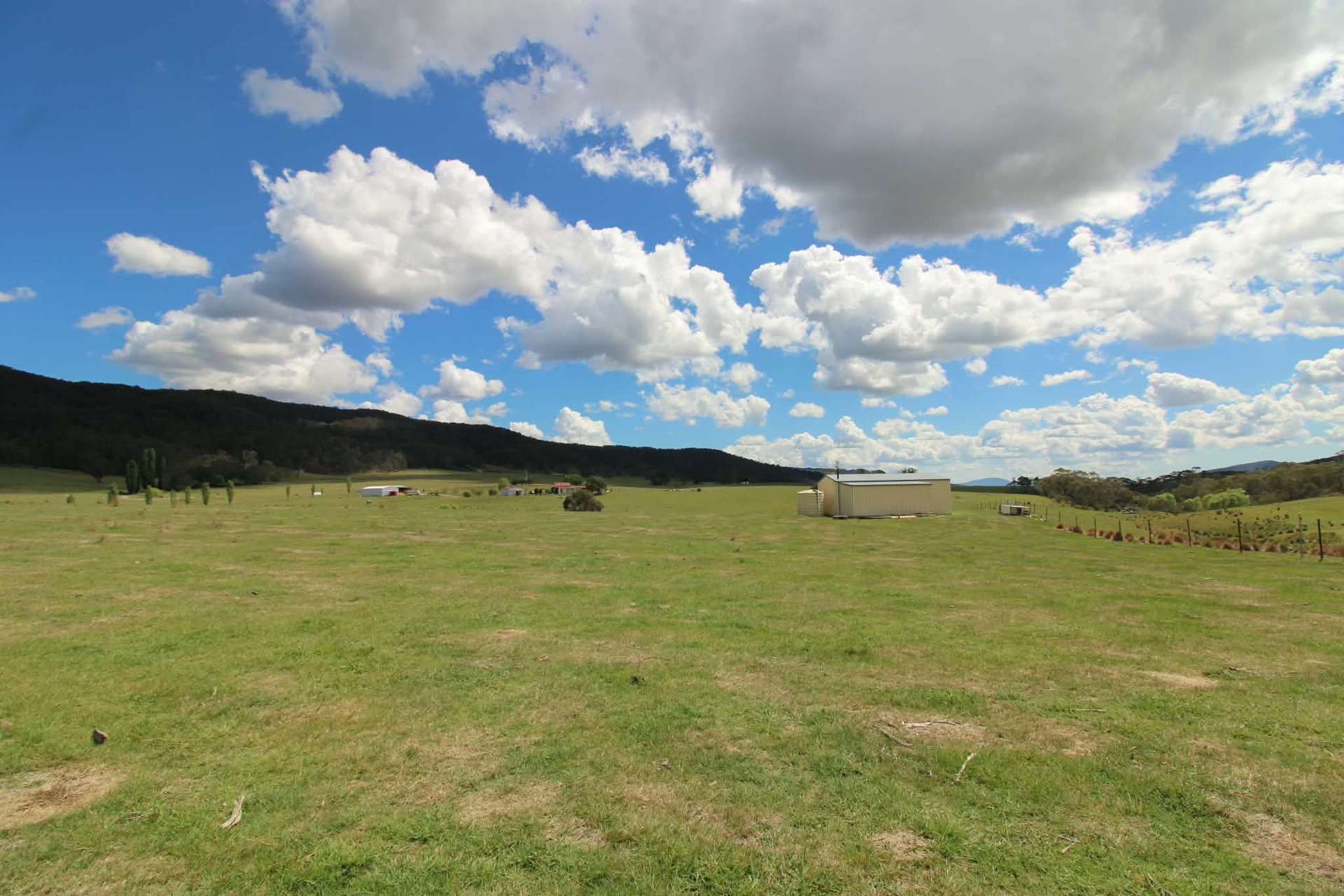1157 Jerrabattgulla Road, Jerrabattgulla For Sale by Farmbuy.com - image 27