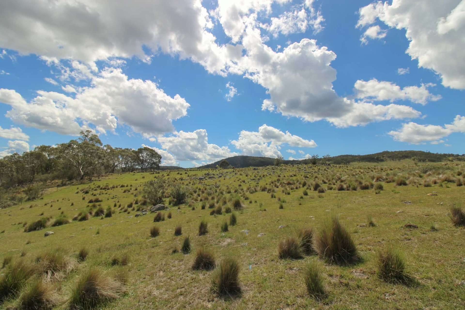 1157 Jerrabattgulla Road, Jerrabattgulla For Sale by Farmbuy.com - image 19