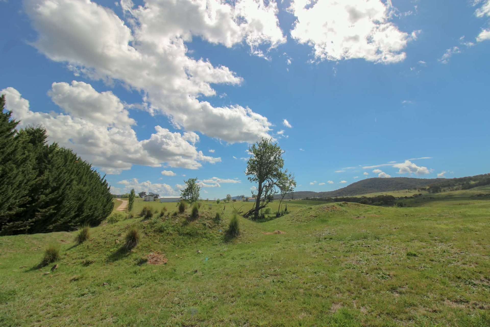 1157 Jerrabattgulla Road, Jerrabattgulla For Sale by Farmbuy.com - image 26