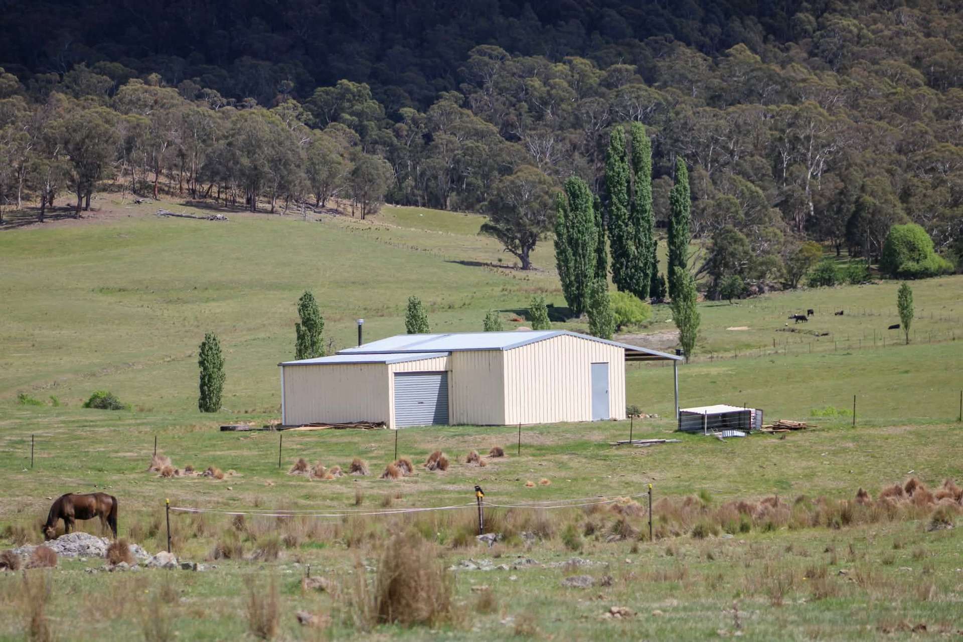 1157 Jerrabattgulla Road, Jerrabattgulla For Sale by Farmbuy.com - image 10