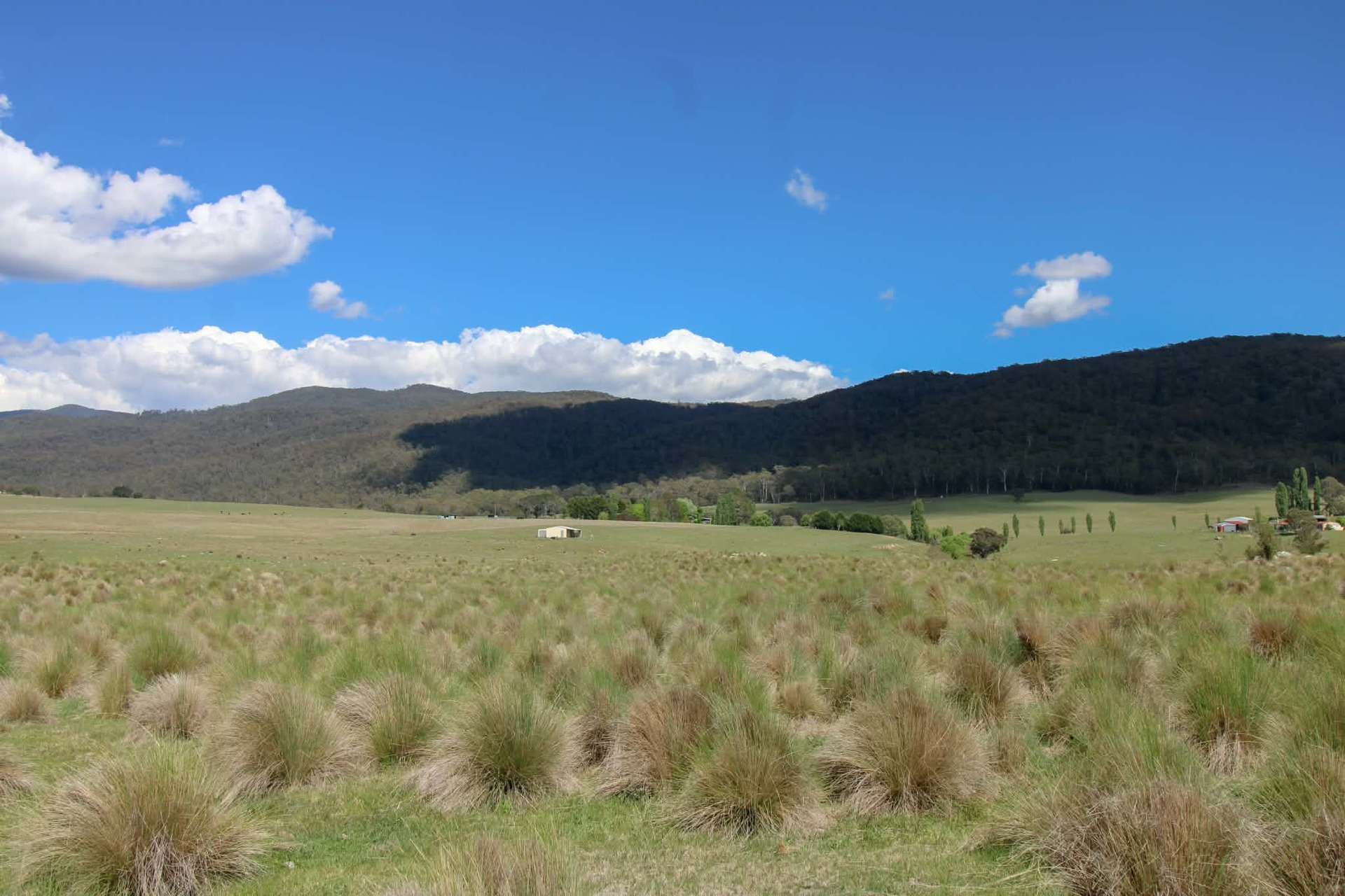 1157 Jerrabattgulla Road, Jerrabattgulla For Sale by Farmbuy.com - image 17
