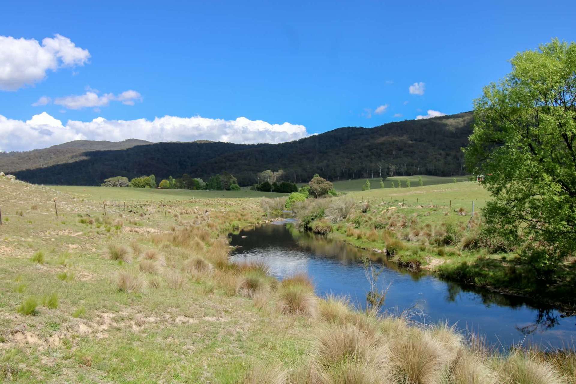 1157 Jerrabattgulla Road, Jerrabattgulla For Sale by Farmbuy.com - image 13