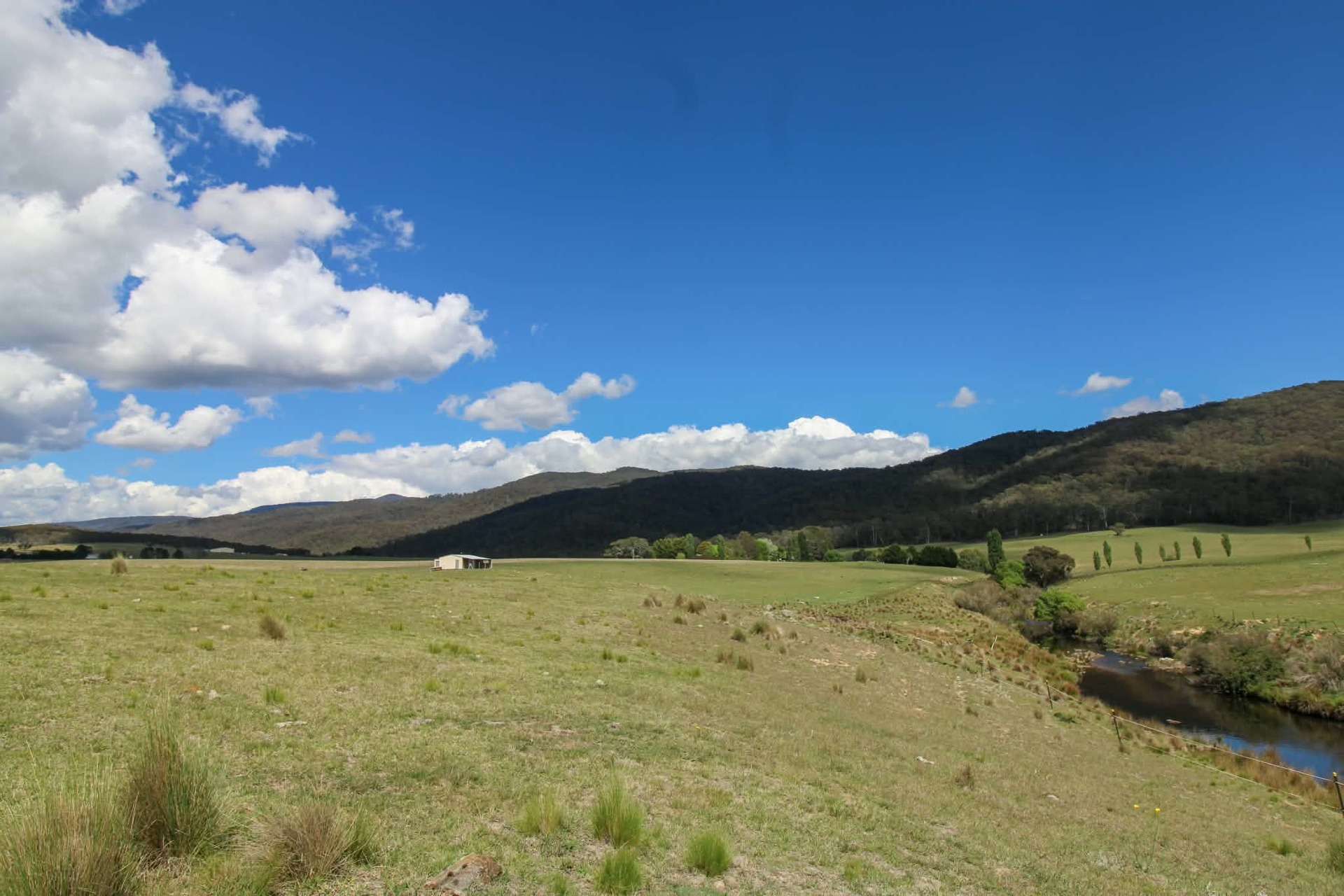 1157 Jerrabattgulla Road, Jerrabattgulla For Sale by Farmbuy.com - image 18