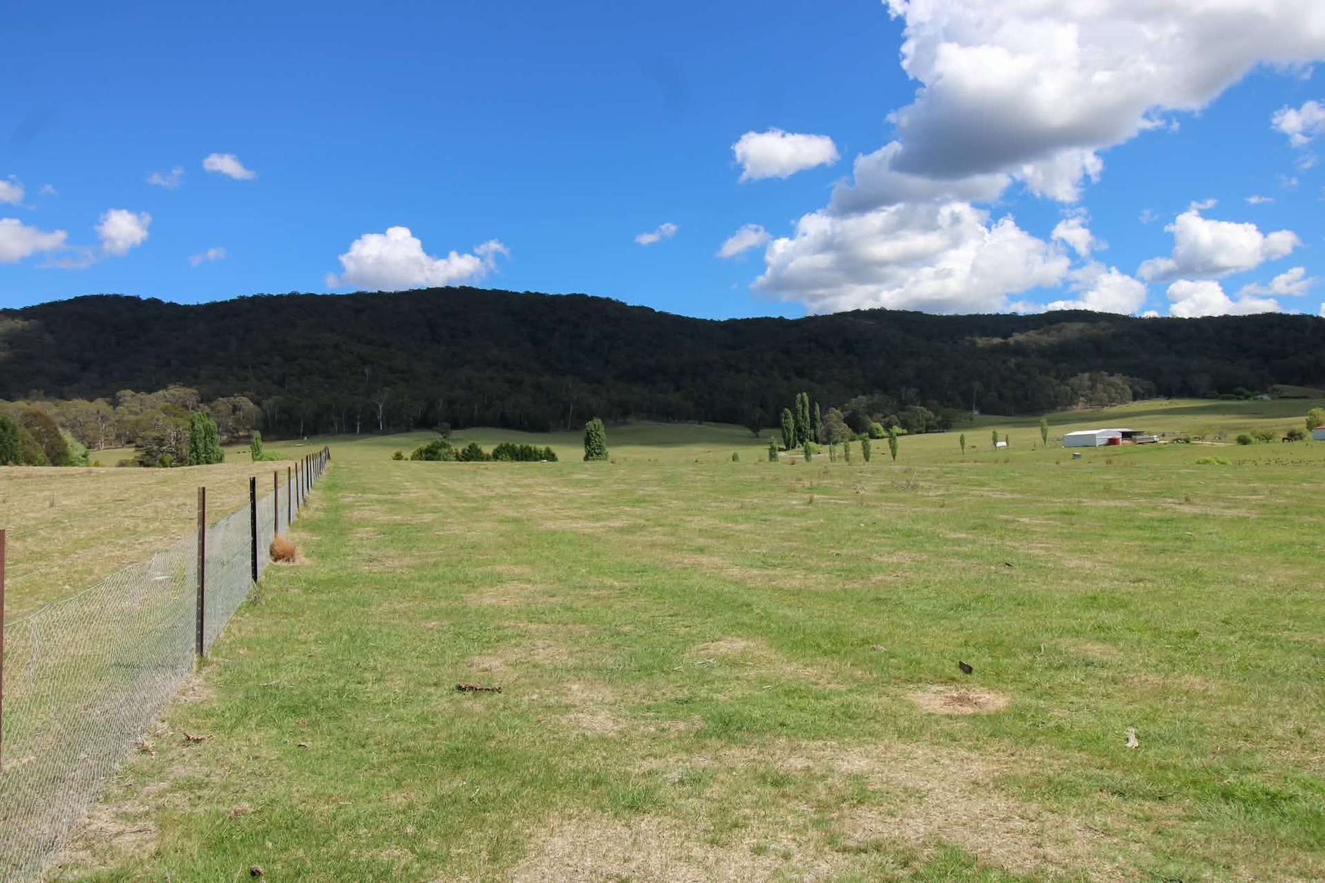 1157 Jerrabattgulla Road, Jerrabattgulla For Sale by Farmbuy.com - image 12