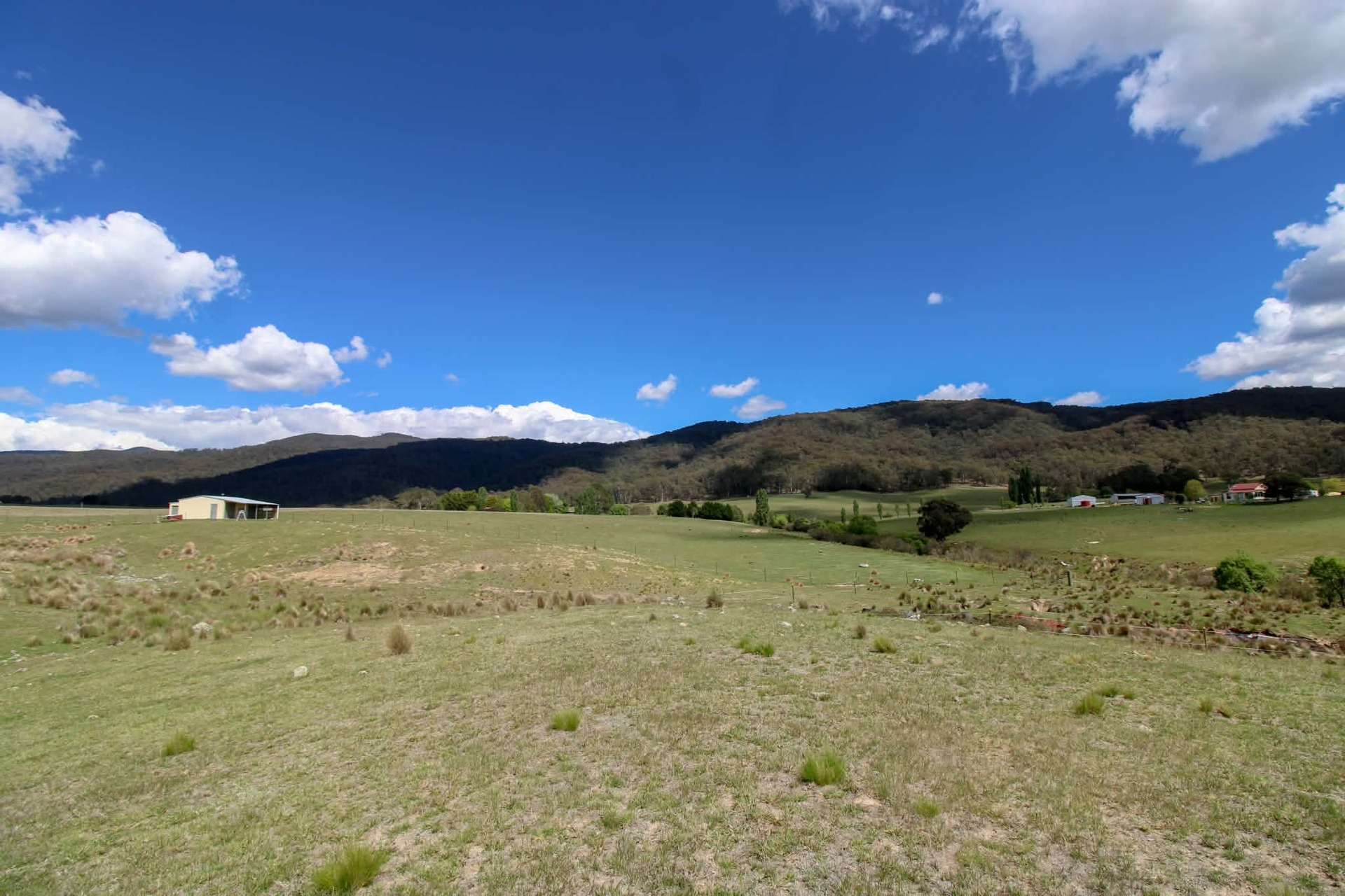 1157 Jerrabattgulla Road, Jerrabattgulla For Sale by Farmbuy.com - image 24