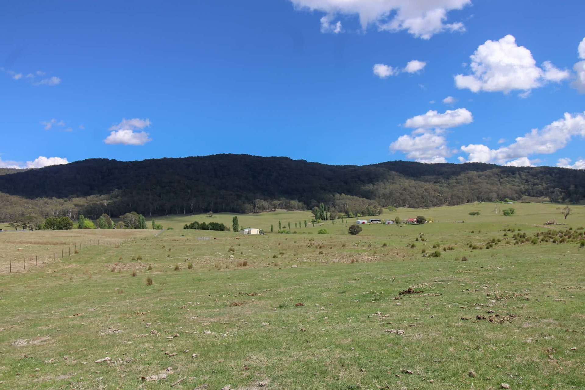 1157 Jerrabattgulla Road, Jerrabattgulla For Sale by Farmbuy.com - image 15